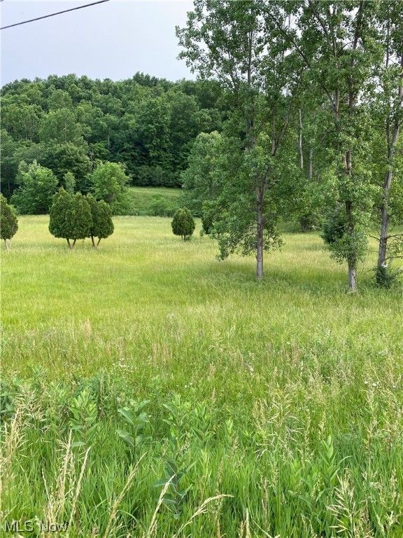 Cumberland, Guernsey County, OH Farms and Ranches for sale Property ID