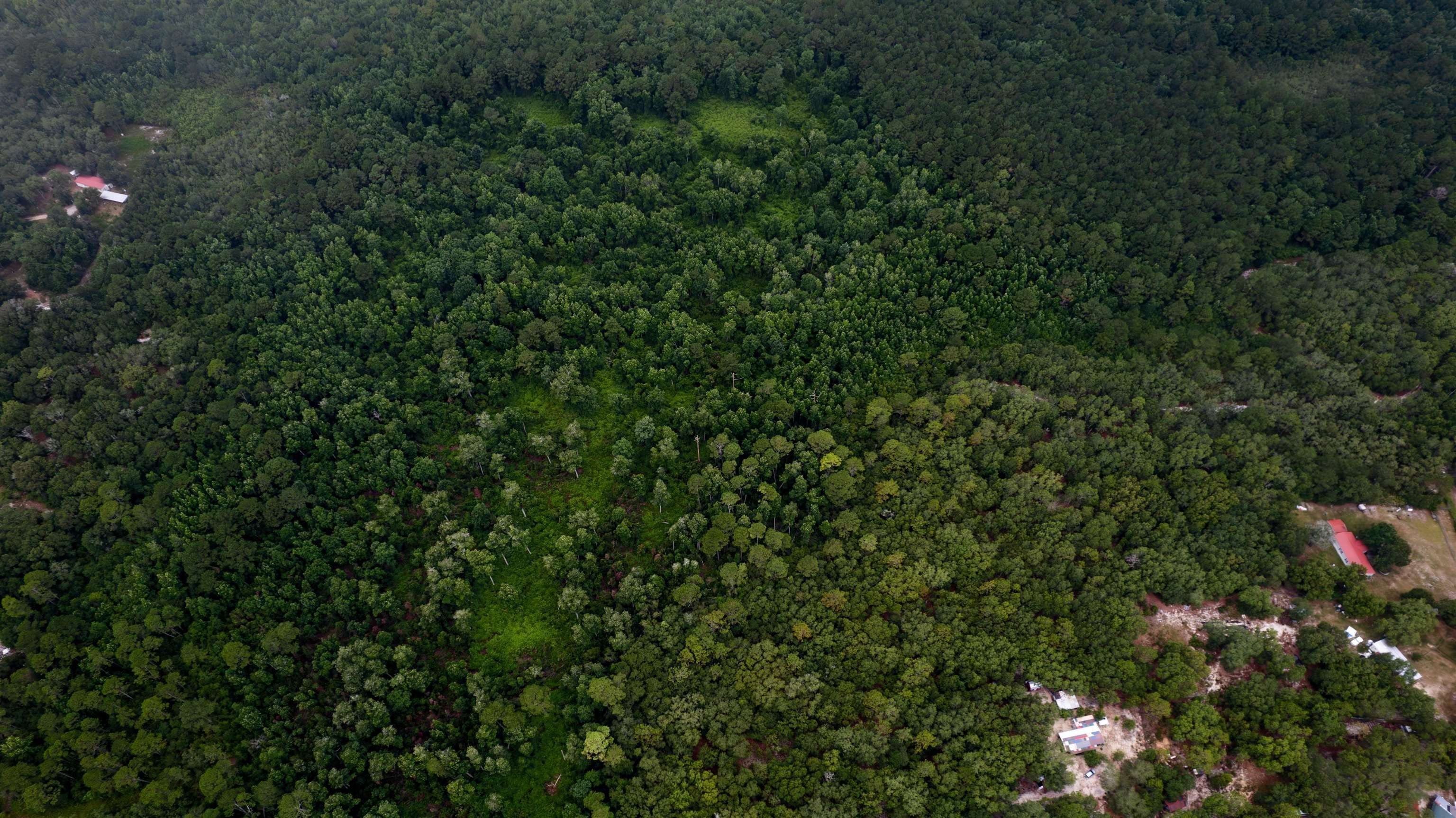 Pearson, Atkinson County, GA Farms and Ranches for sale Property ID