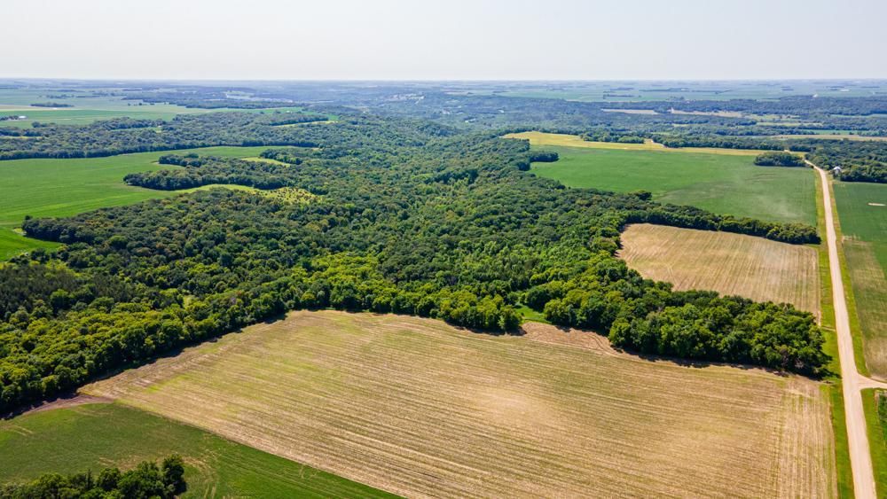 000 210th Street, Renville, MN 56284 MLS Renville 100 LandWatch