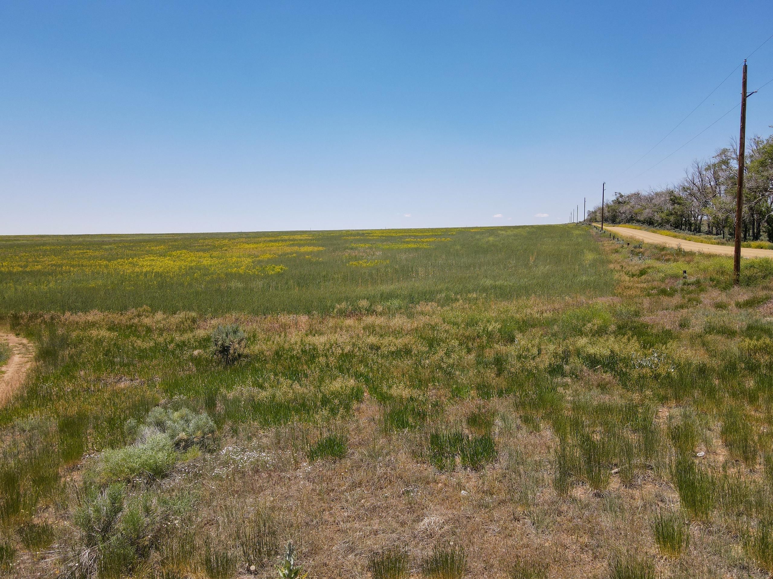 Hesperus, La Plata County, CO Farms and Ranches, Recreational Property