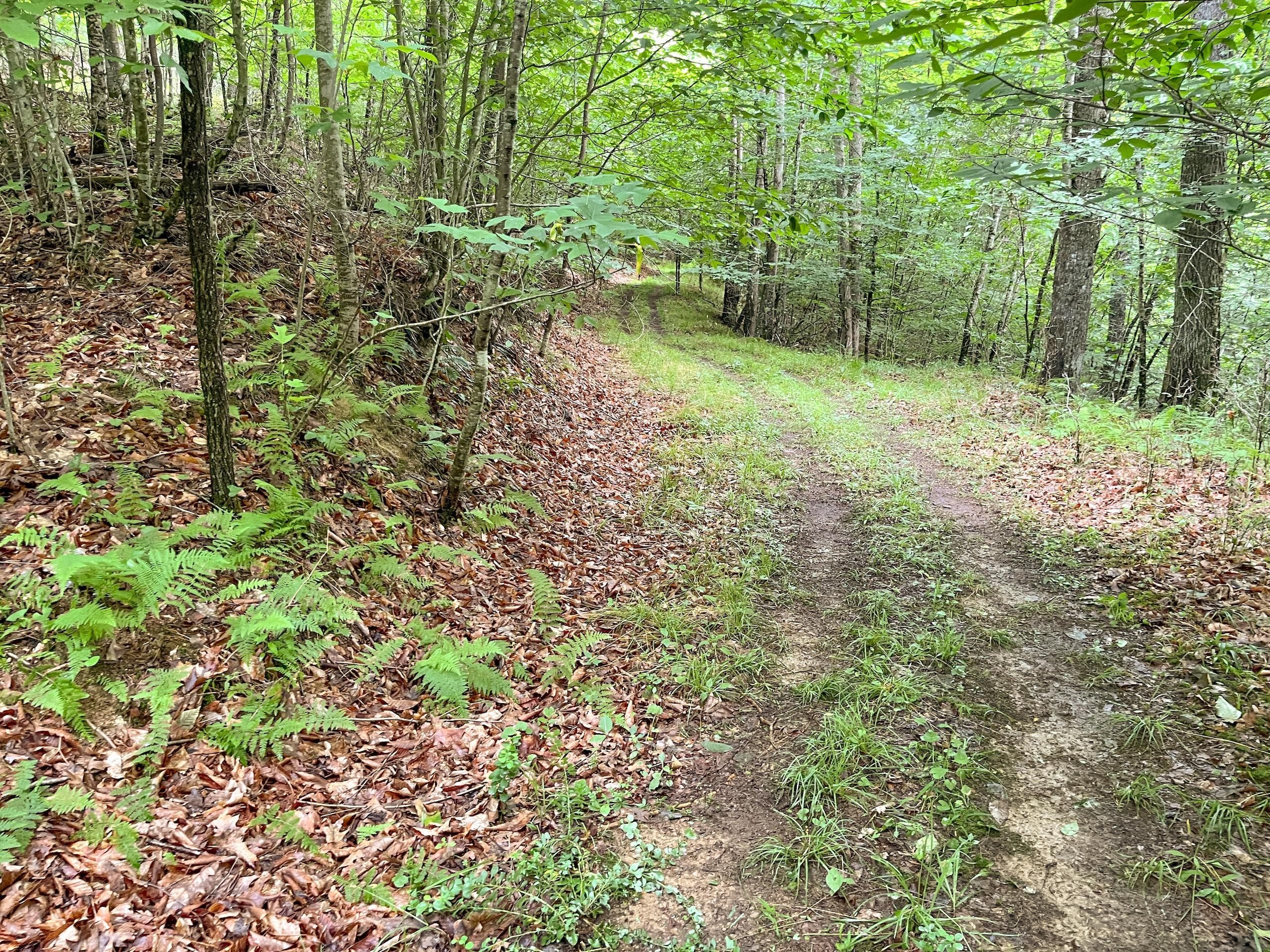 Shavers Run Rd, Lot WP001, Huttonsville, WV 26273 LandWatch
