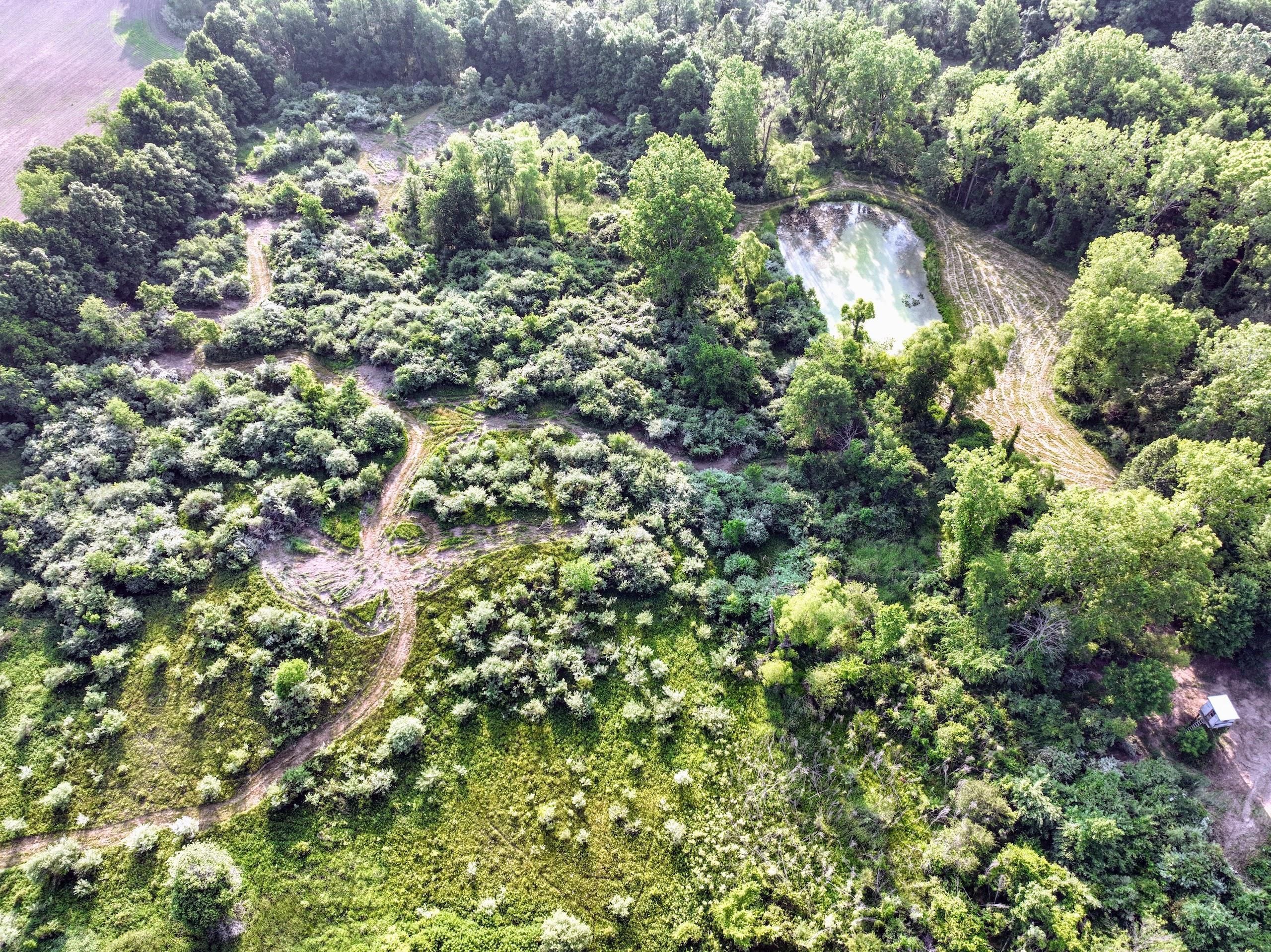 Nashville, Barry County, MI Farms and Ranches, Recreational Property