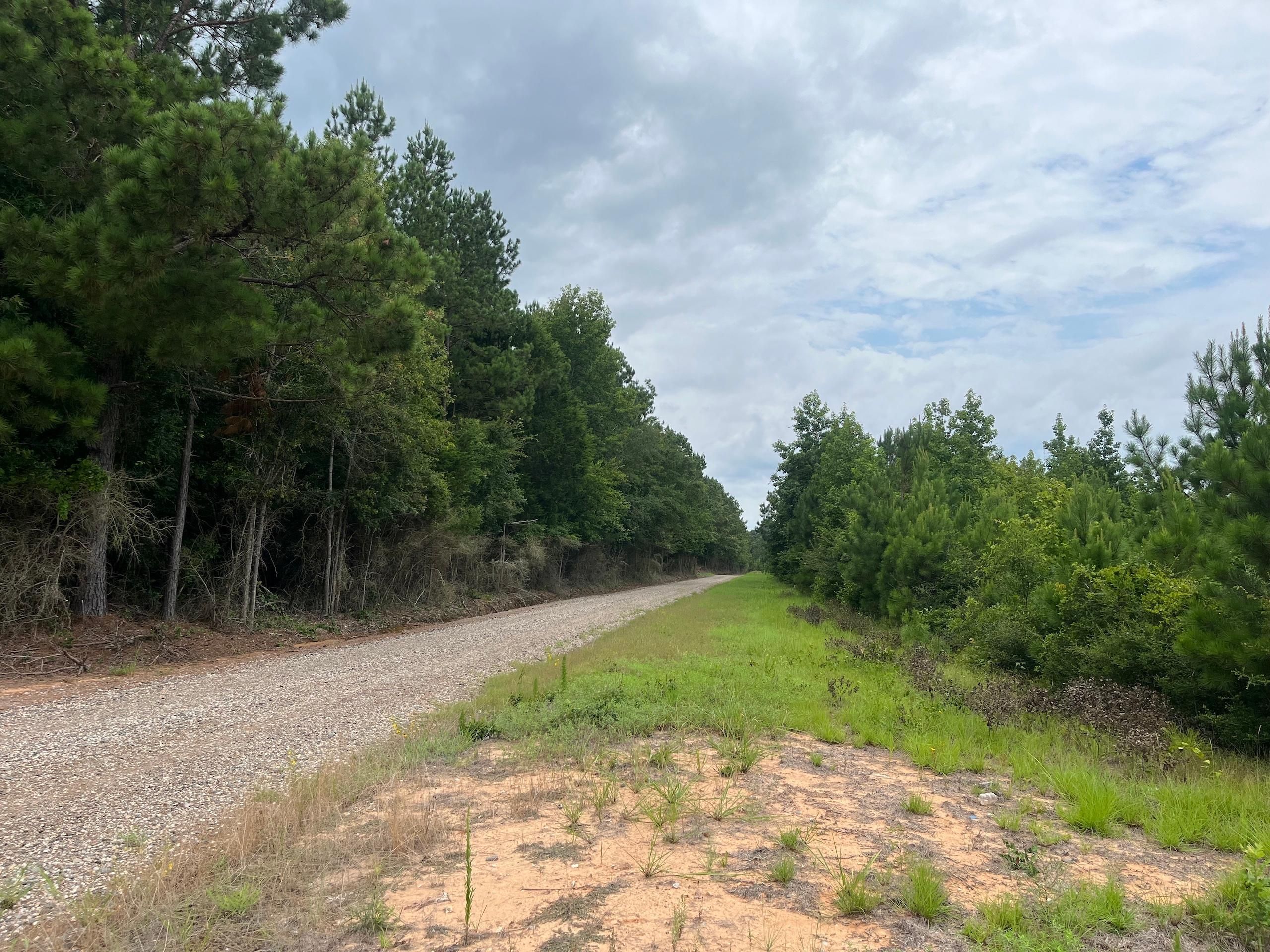 Mansfield, De Soto Parish, LA Recreational Property, Timberland