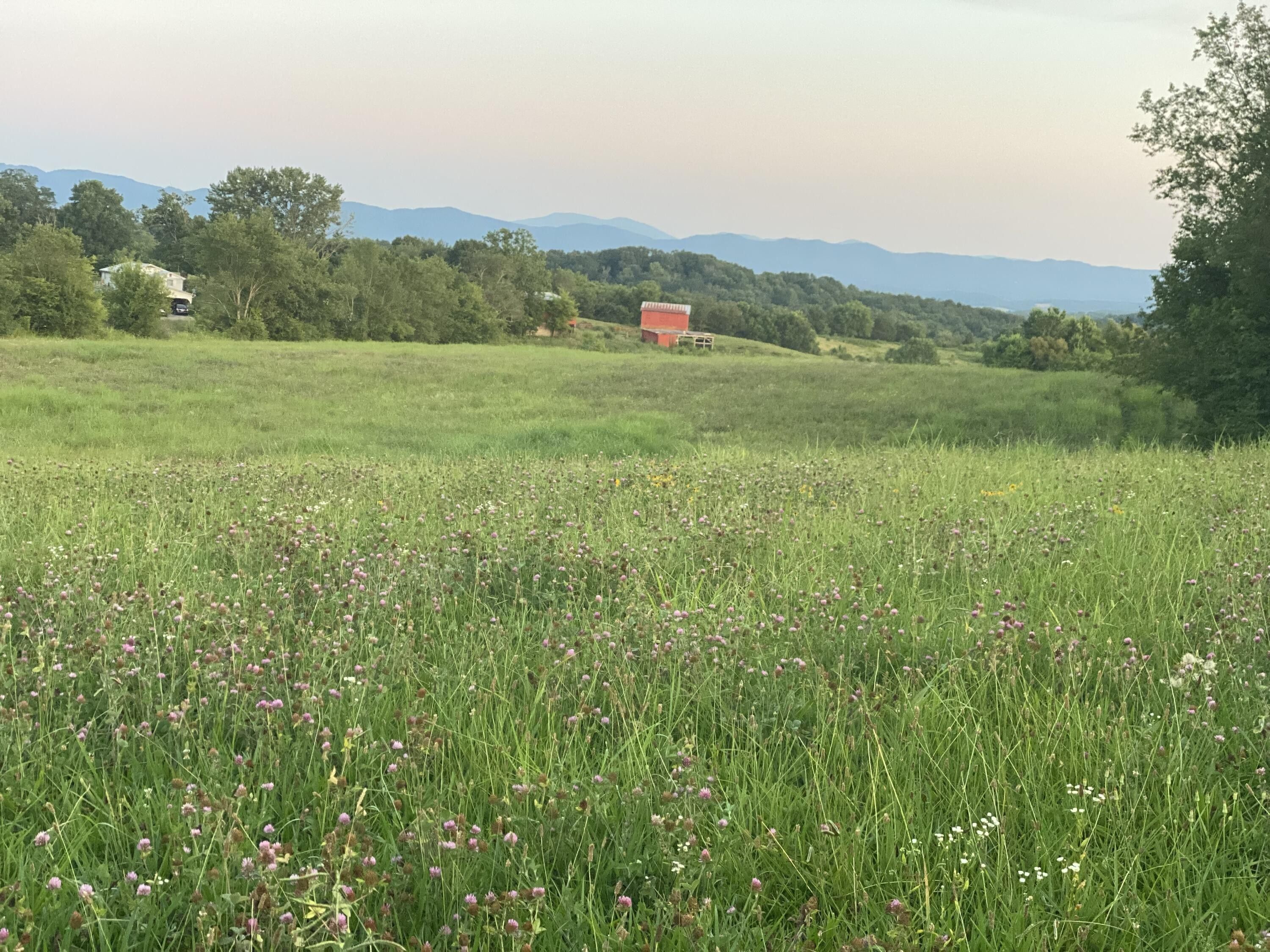 Greeneville, Greene County, TN Undeveloped Land for sale Property ID