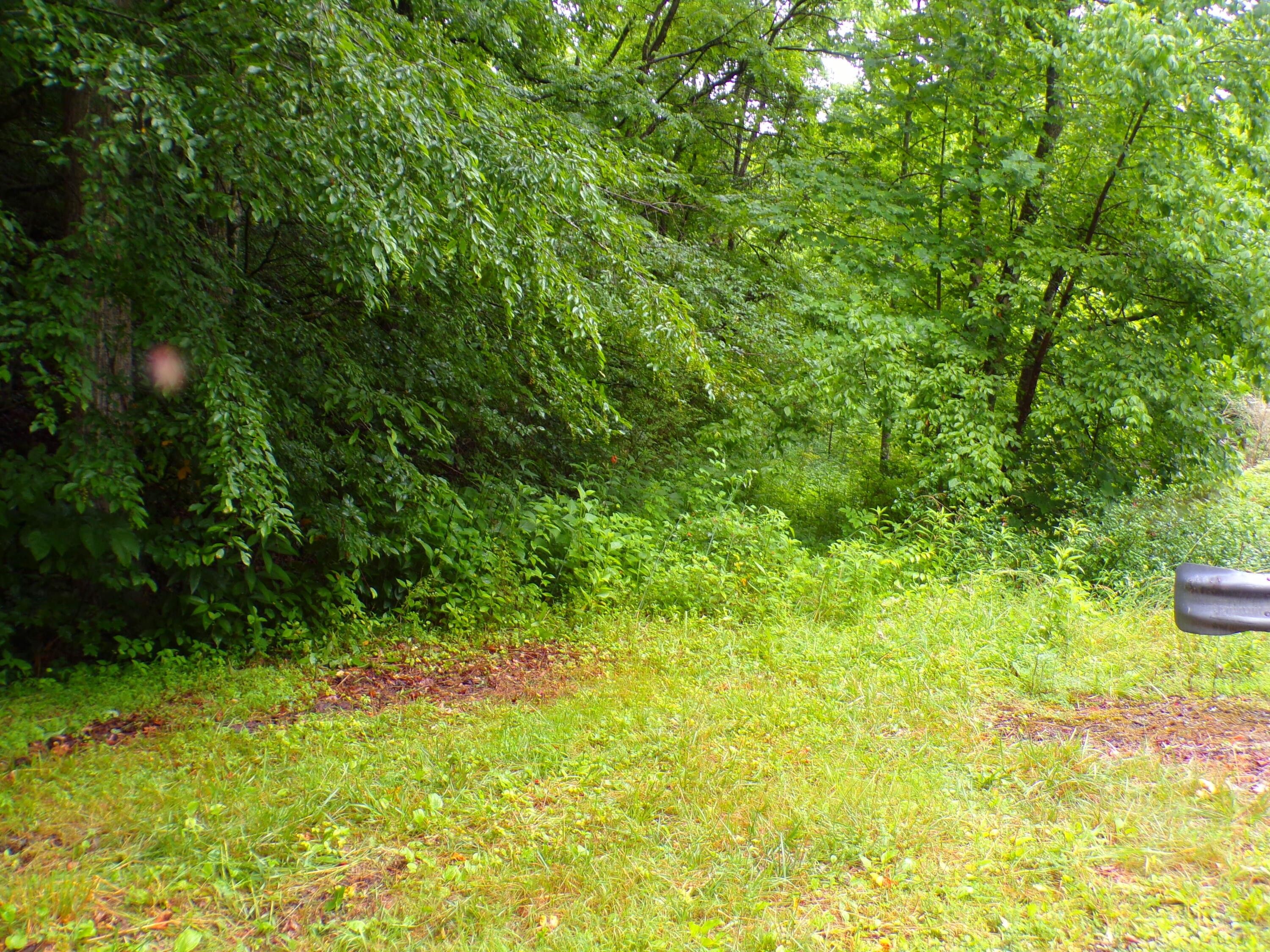 Roan Mountain, Carter County, TN Undeveloped Land for sale Property ID