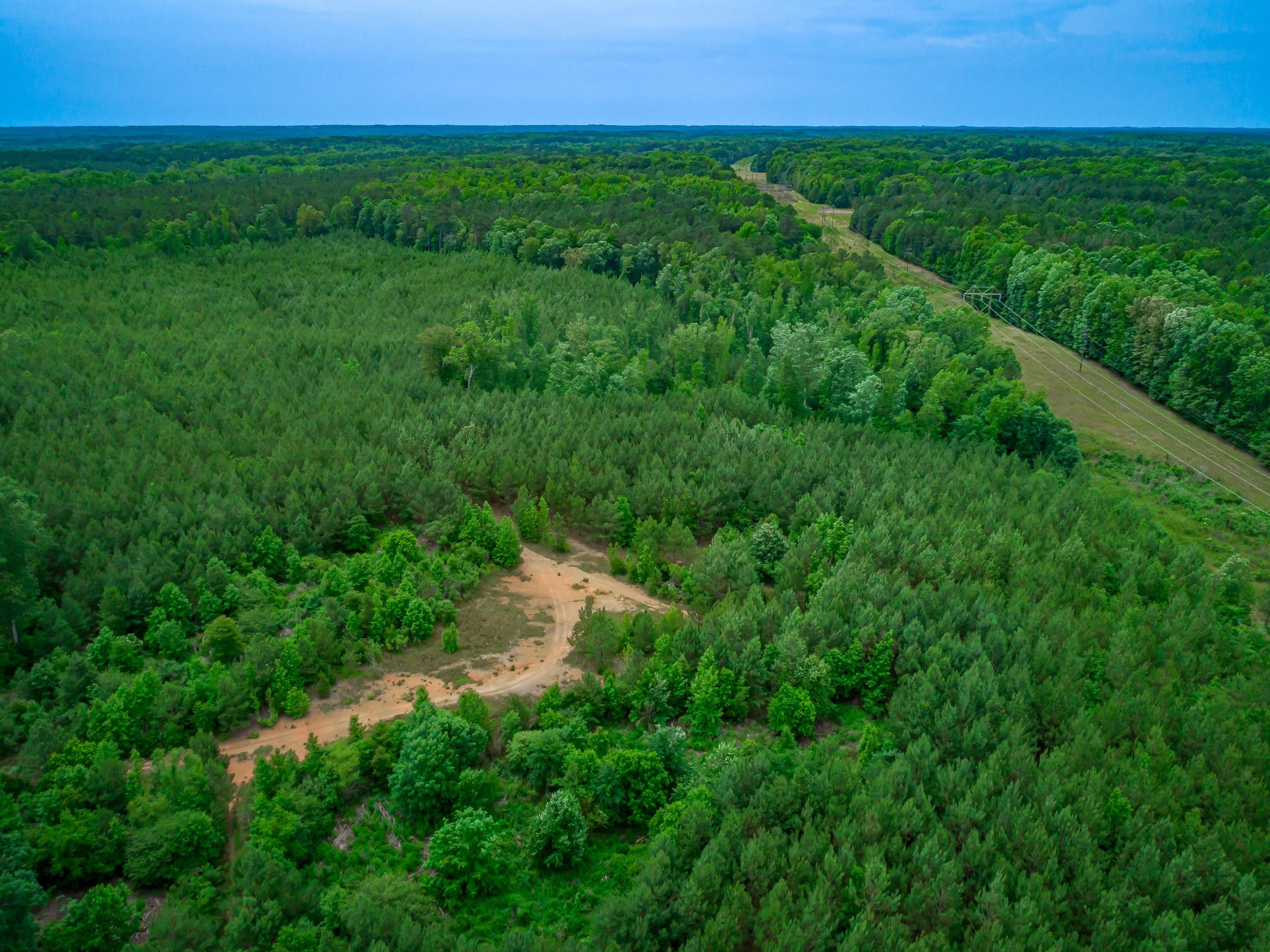 VG79+GC9 BatesburgLeesville, BatesburgLeesville, SC 29070 LandWatch