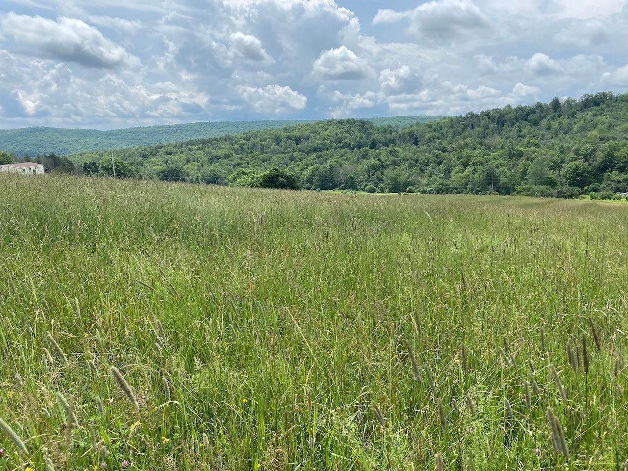 Almond, Allegany County, NY Recreational Property, Hunting Property for
