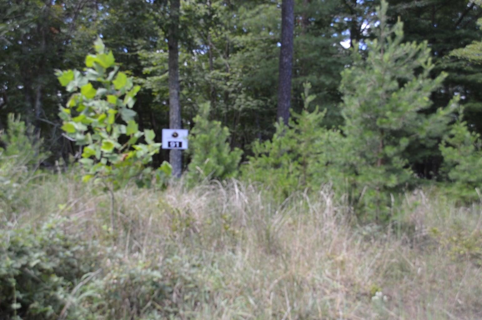 Royal Coachman Drive, New Castle, VA 24127 MLS 899840 LandWatch