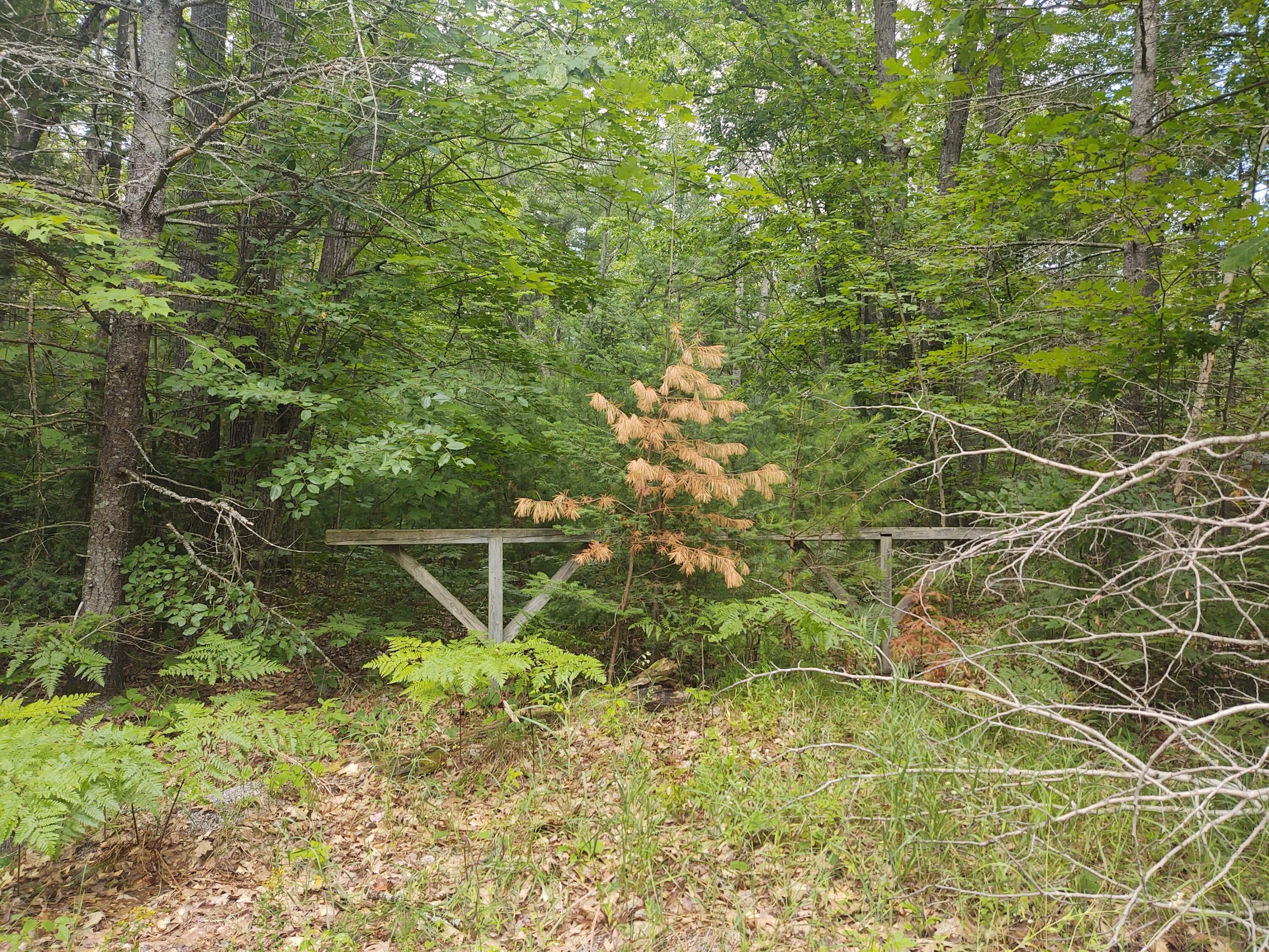 Atlanta, Montmorency County, MI Undeveloped Land, Lakefront Property