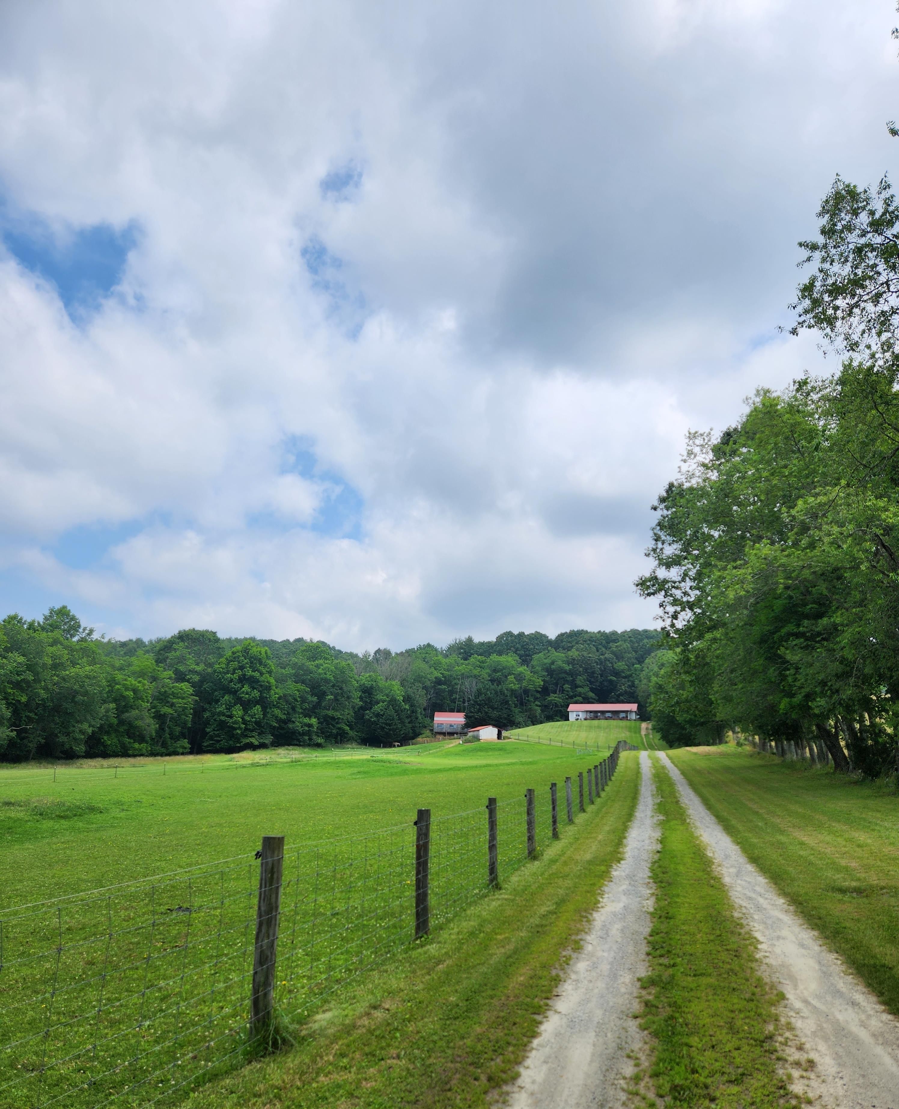 Mouth Of Wilson, Grayson County, VA Farms and Ranches, Horse Property