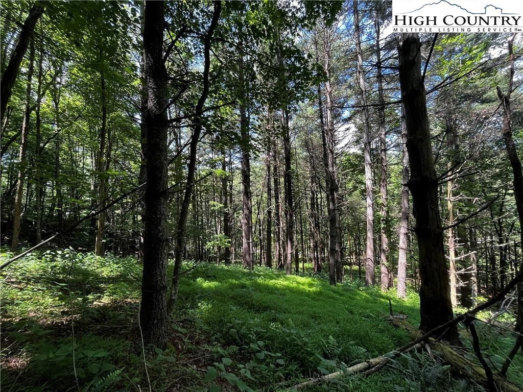 Boone, Watauga County, NC Farms and Ranches for sale Property ID