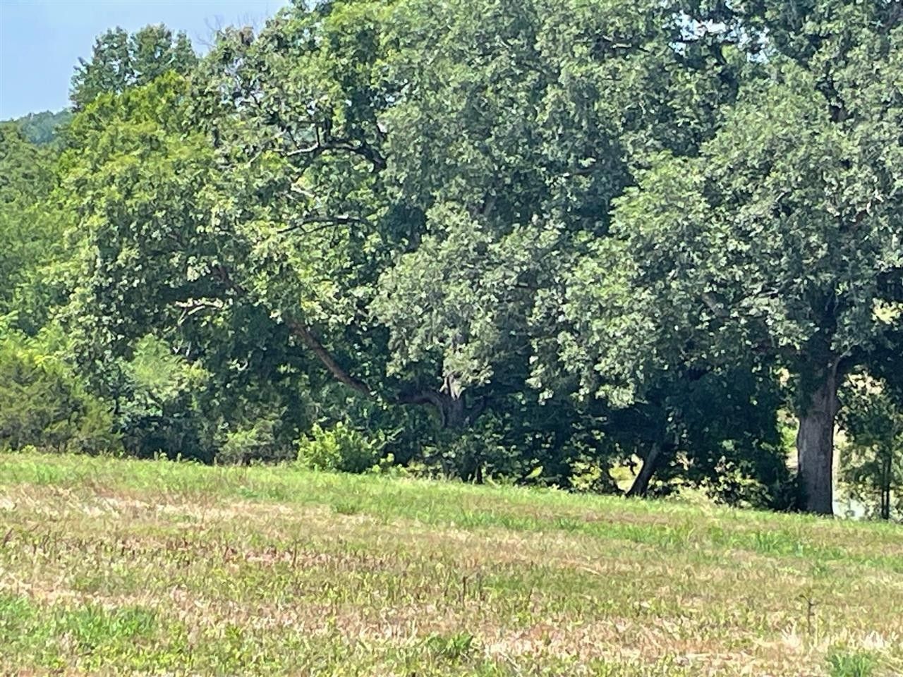 Scottsville, Allen County, KY Farms and Ranches, Homesites for sale