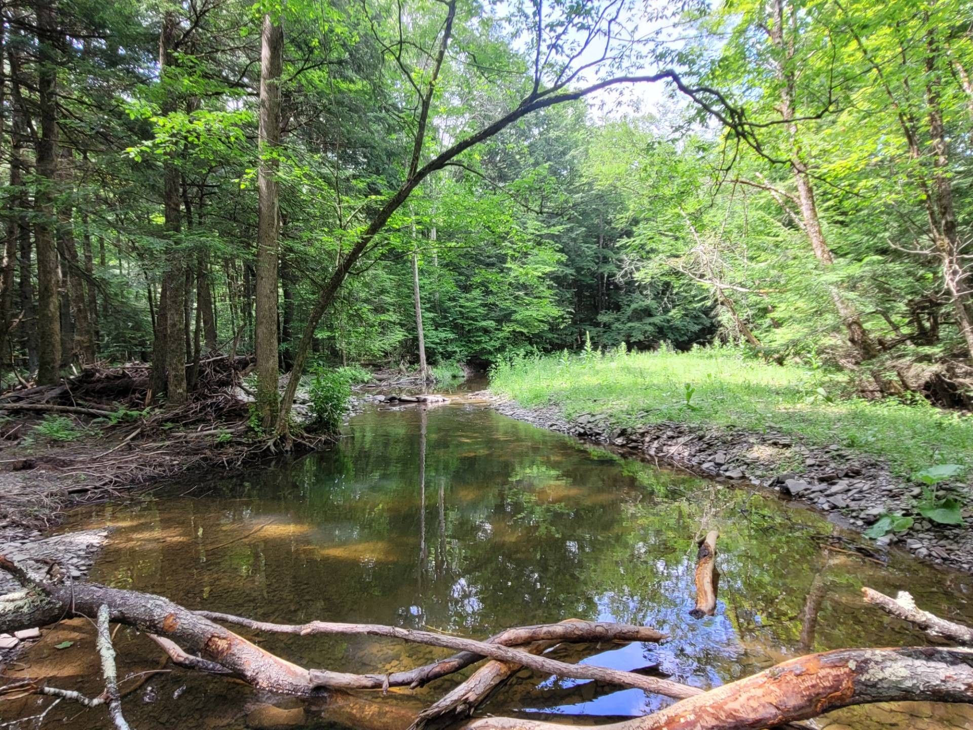 Port Crane, Broome County, NY Farms and Ranches for sale Property ID 416967397 LandWatch