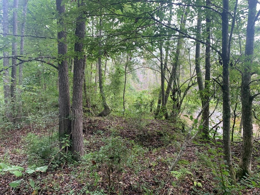 Hazlehurst, Copiah County, MS Farms and Ranches for sale Property ID 416908538 LandWatch