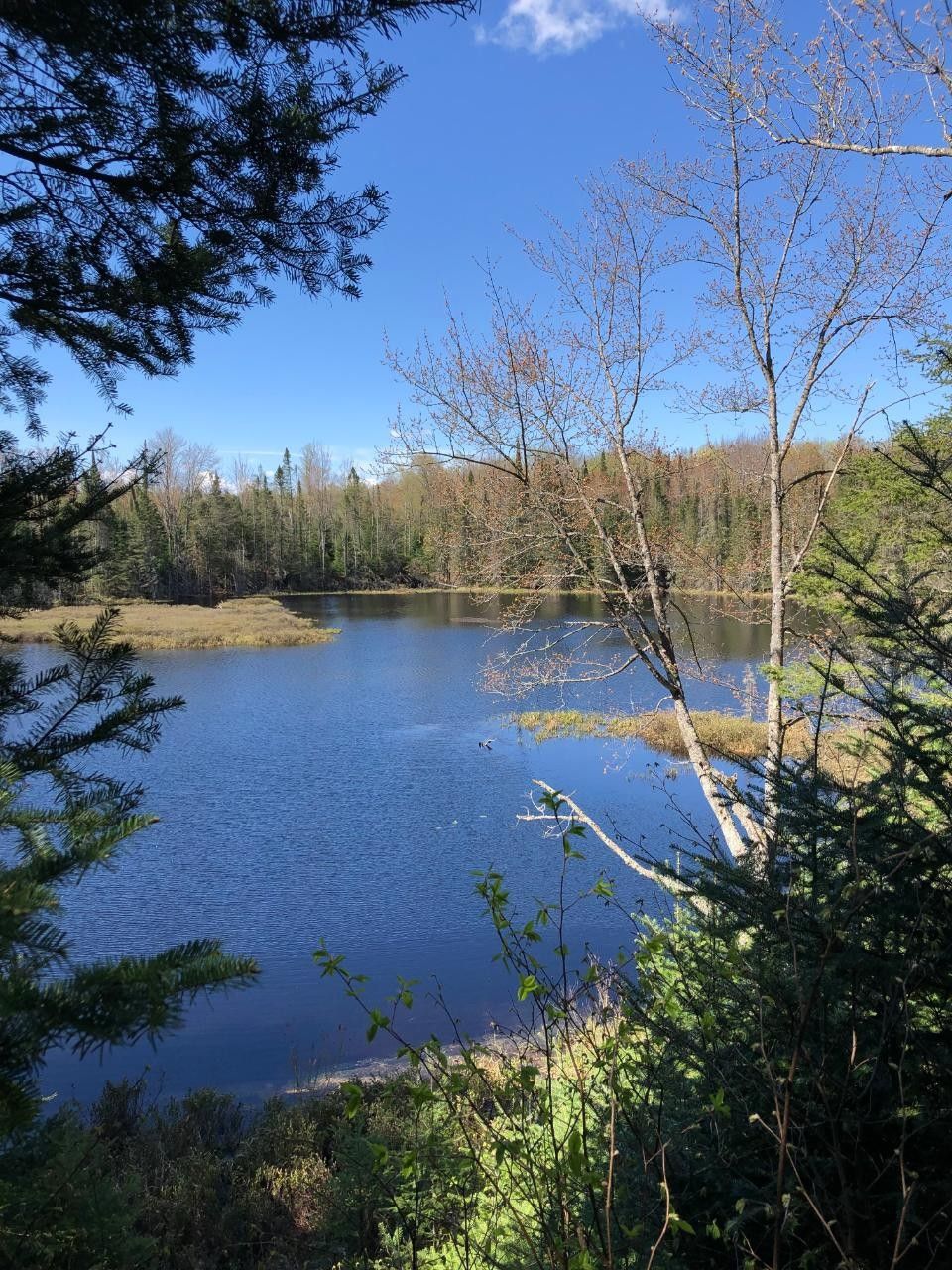 Presque Isle, Vilas County, WI Undeveloped Land, Lakefront Property