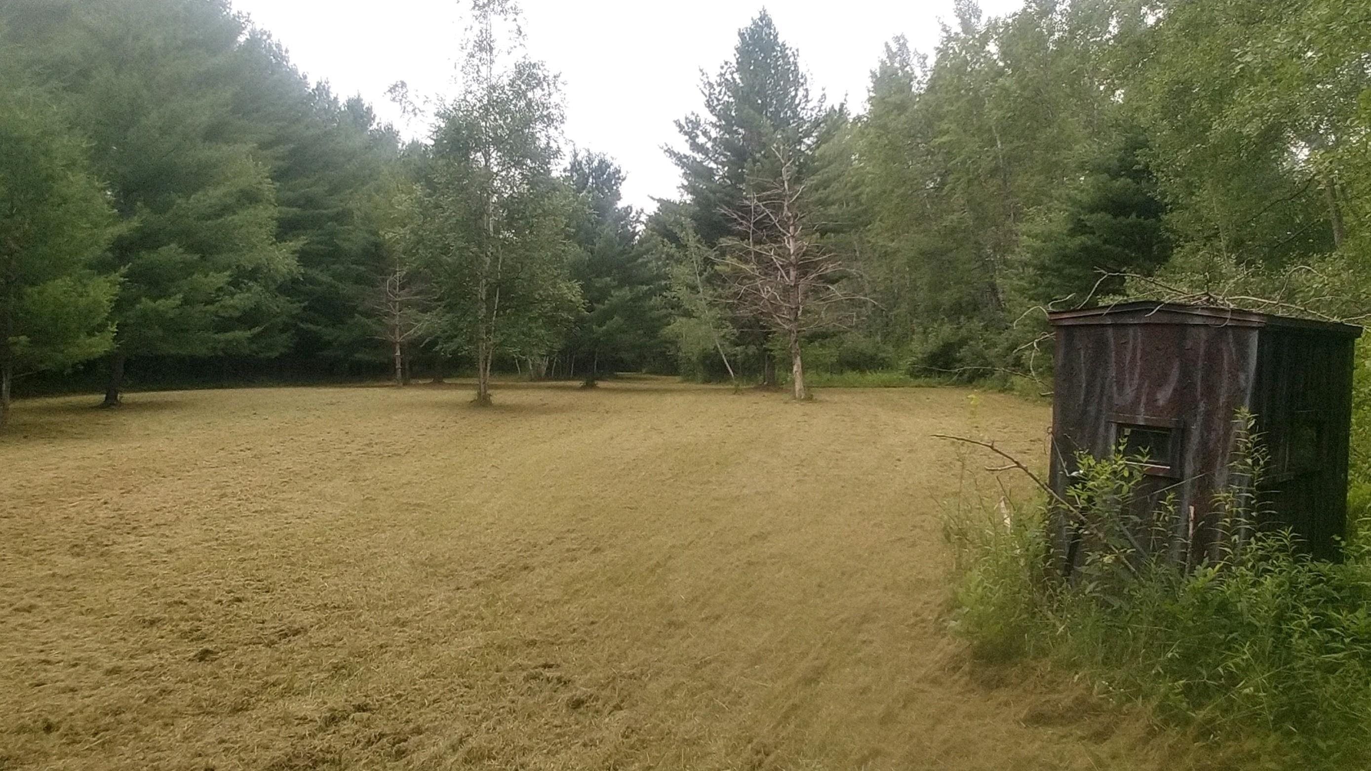 Gladwin, Gladwin County, MI Undeveloped Land, Lakefront Property