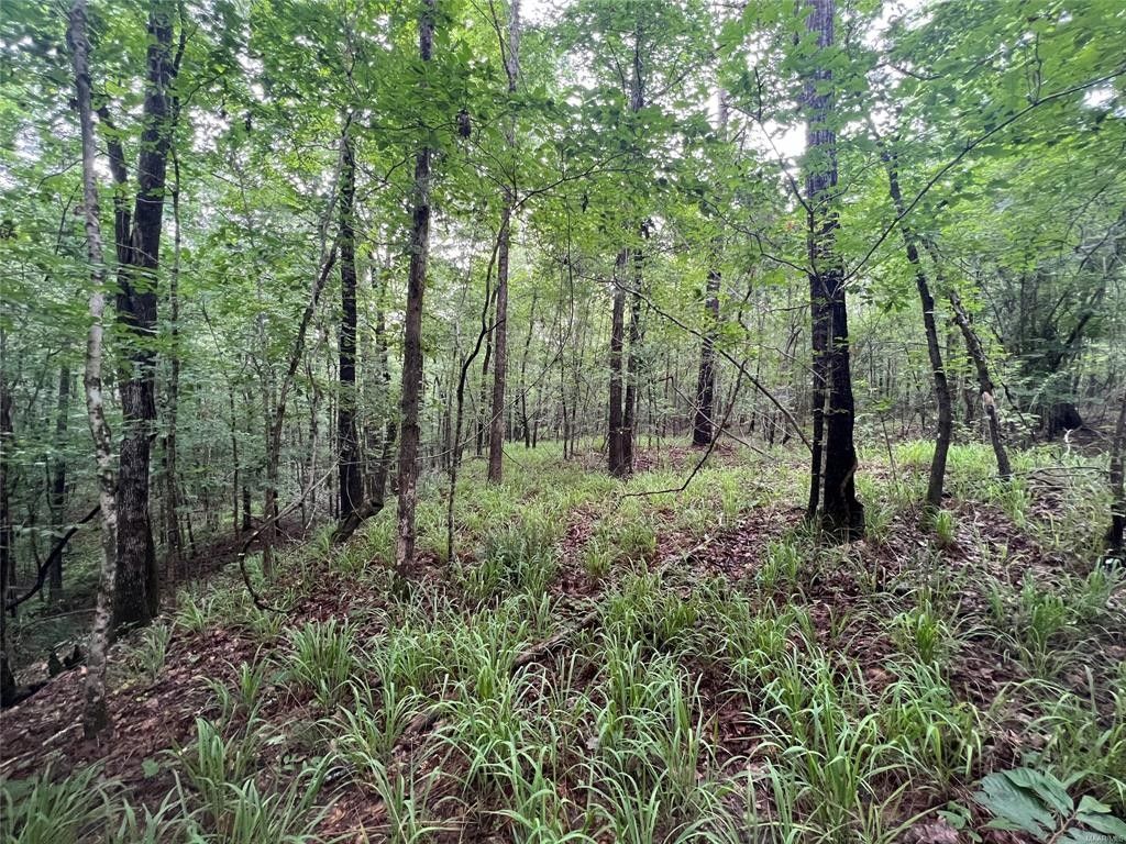 Shorter, Macon County, AL Farms and Ranches for sale Property ID