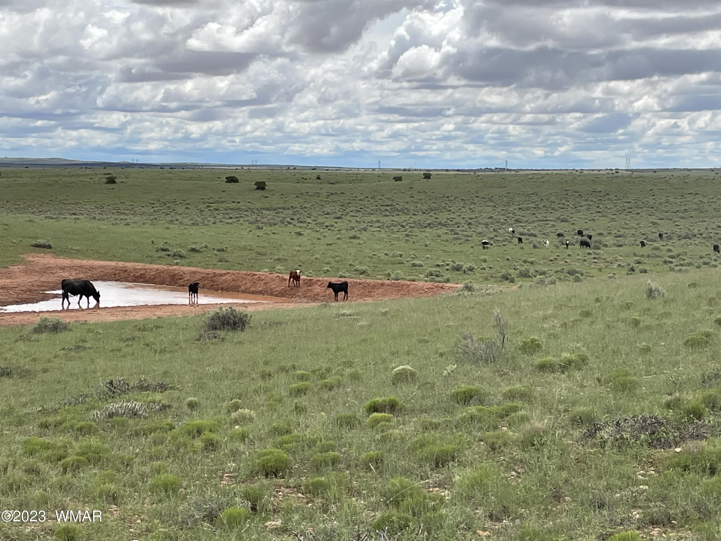 Woodruff, Navajo County, AZ Undeveloped Land, Lakefront Property