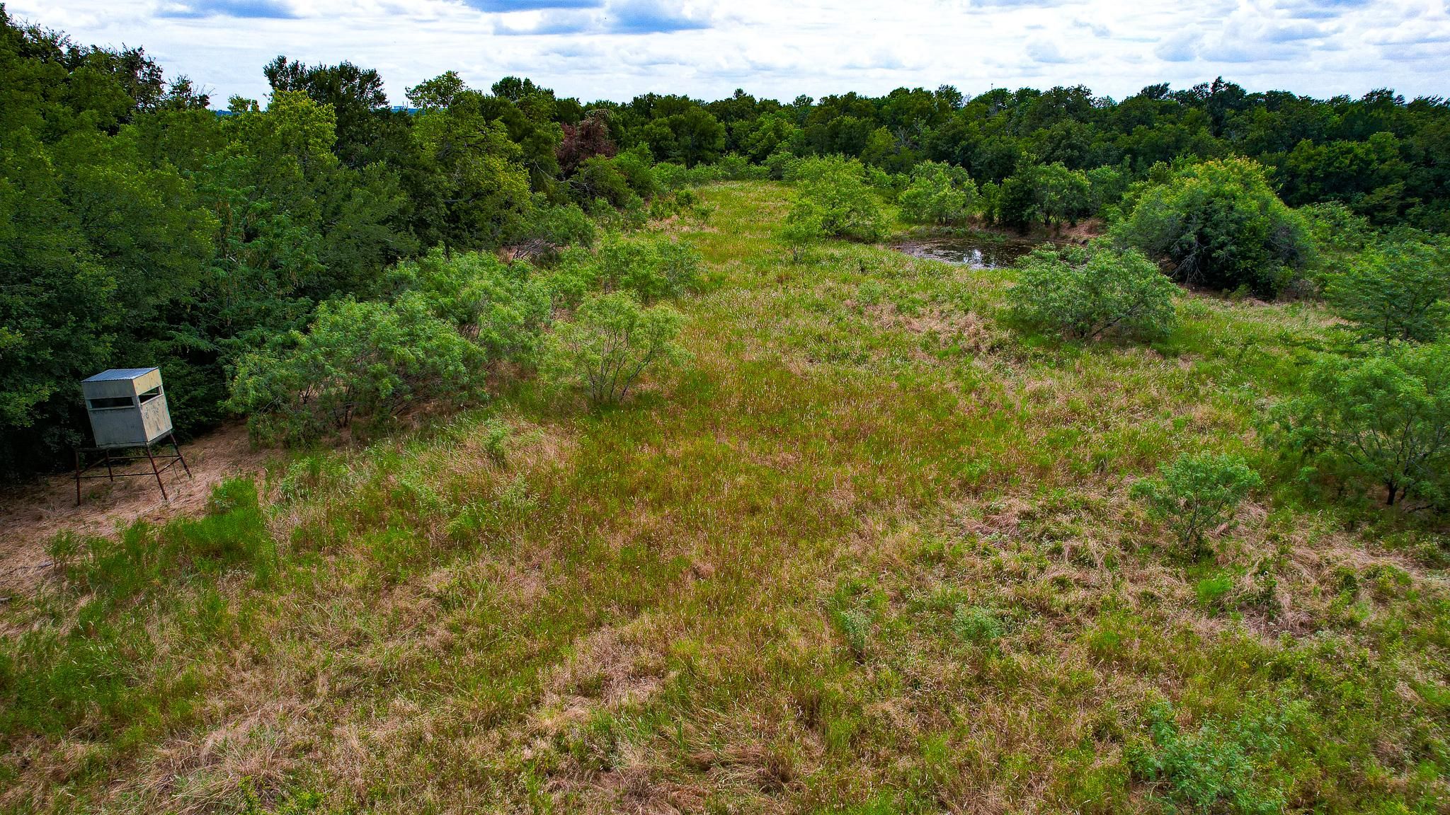 Bremond, Falls County, TX Farms and Ranches, Recreational Property