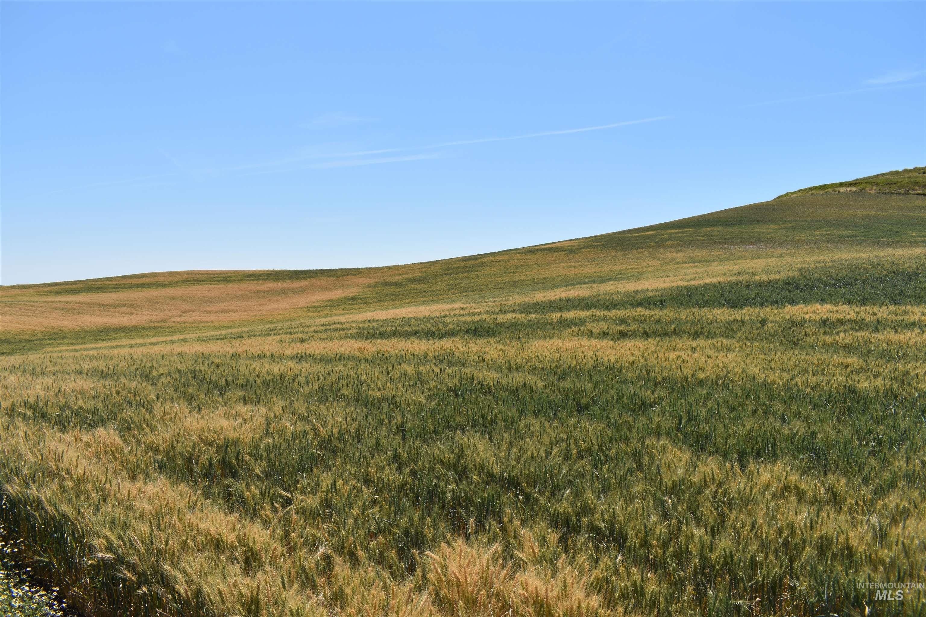 Moscow, Latah County, ID Farms and Ranches for sale Property ID