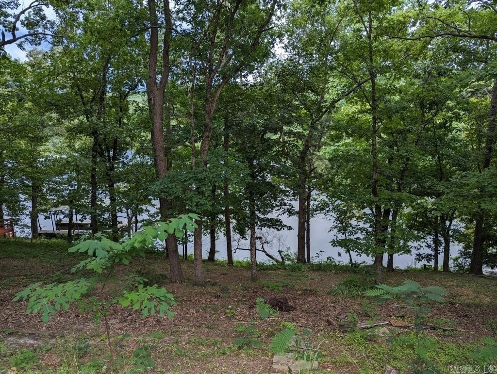Malvern, Hot Spring County, AR Lakefront Property, Waterfront Property