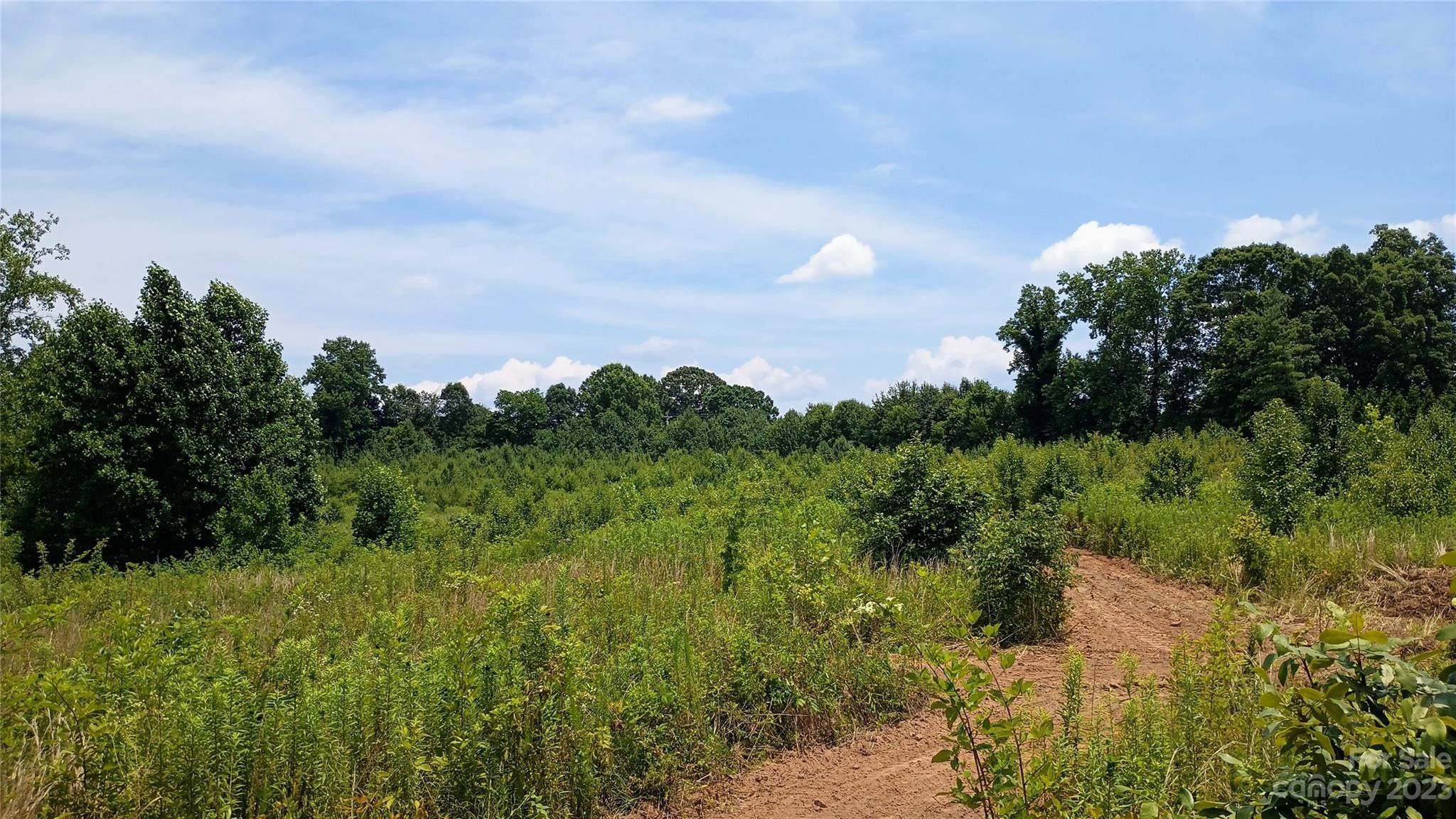 Taylorsville, Alexander County, NC Undeveloped Land for sale Property