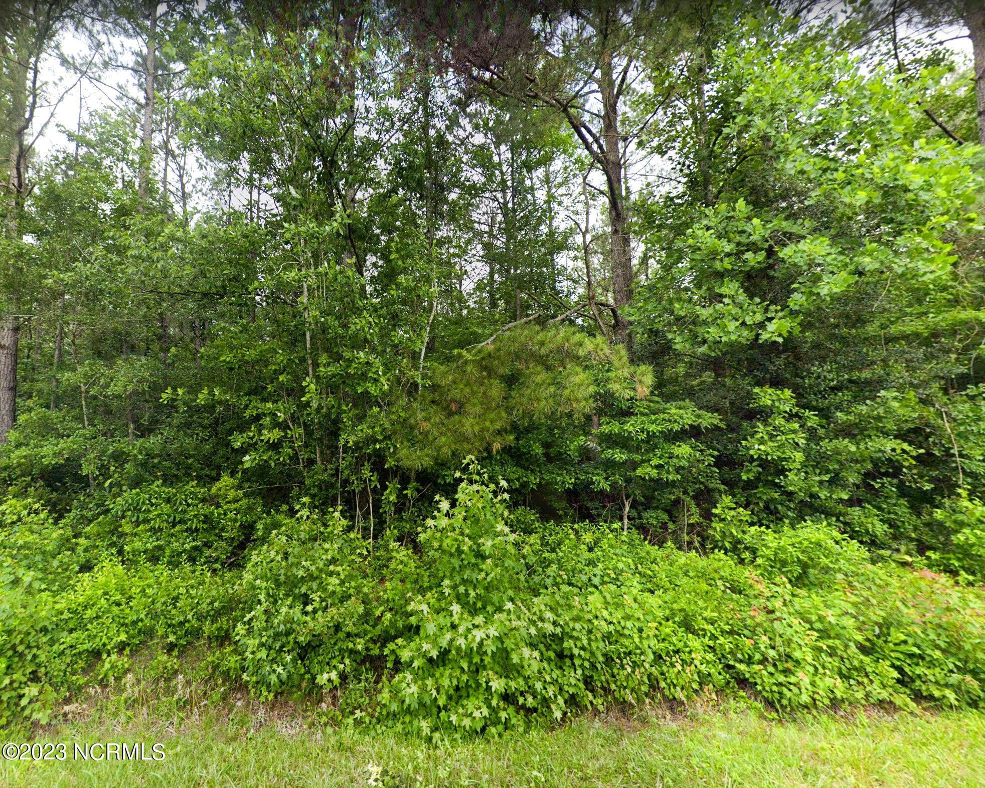 Willard, Pender County, NC Undeveloped Land, Homesites for sale