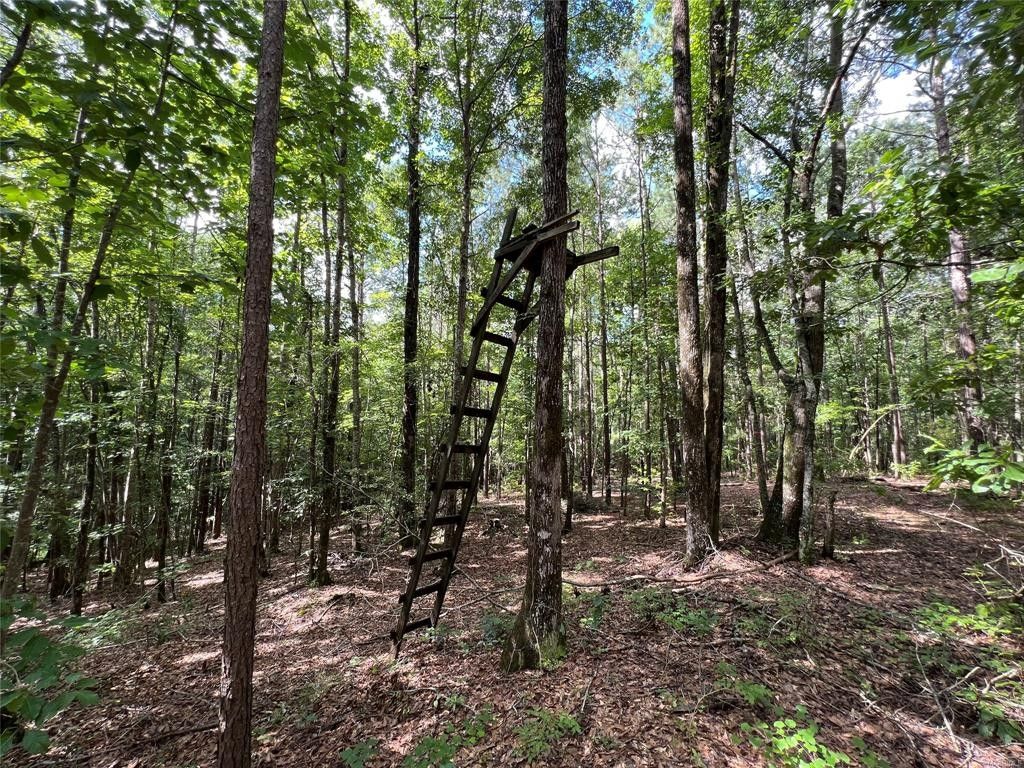 Ramer, Montgomery County, AL Farms and Ranches for sale Property ID