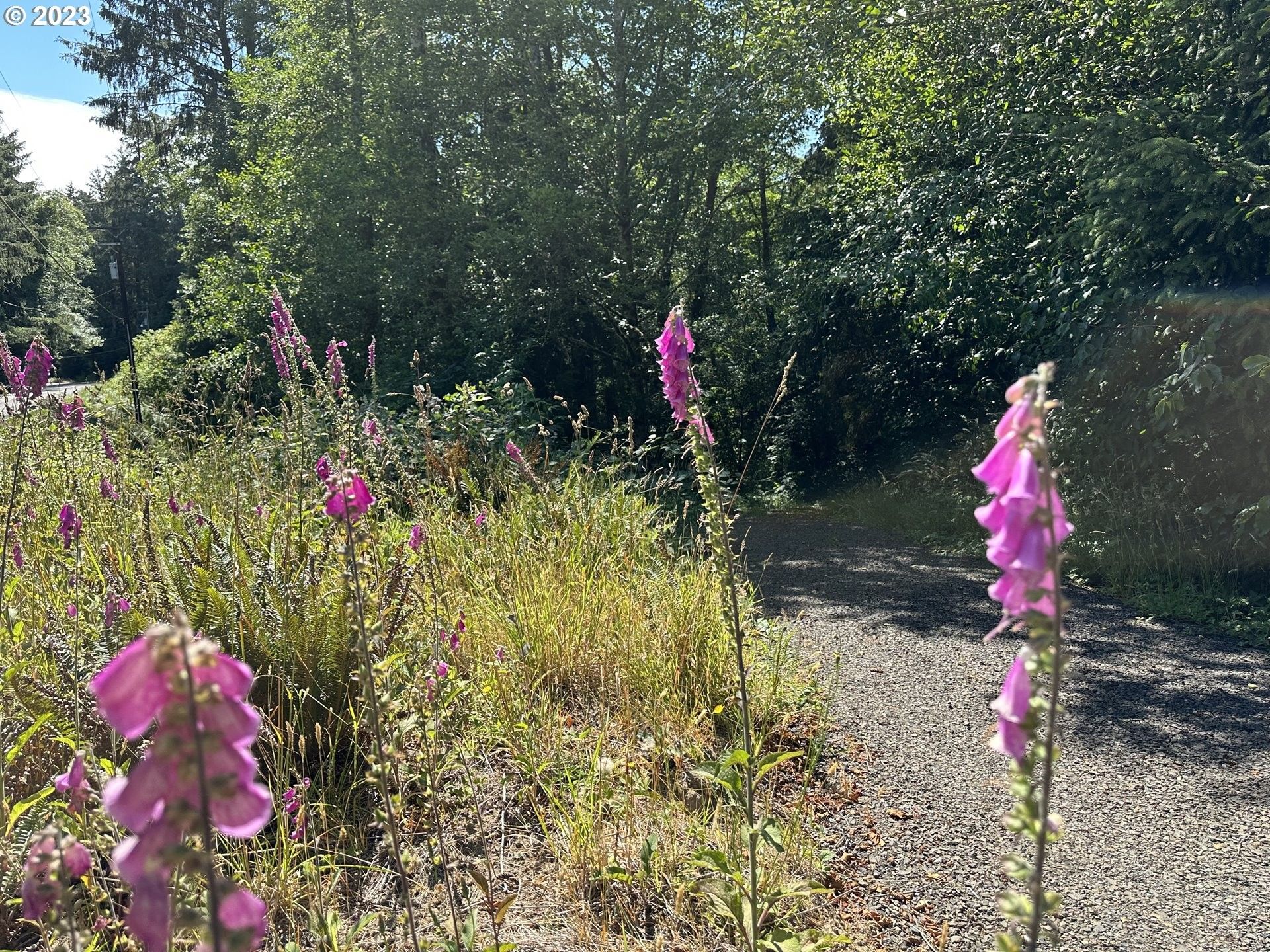 Netarts, Tillamook County, OR Farms and Ranches, Homesites for sale