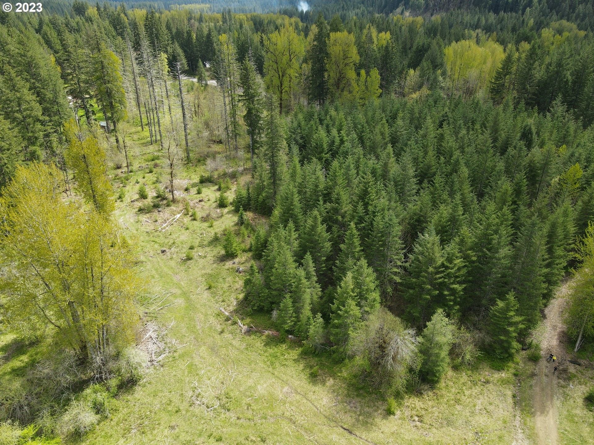 Carson, Skamania County, WA Farms and Ranches for sale Property ID 416396544 LandWatch