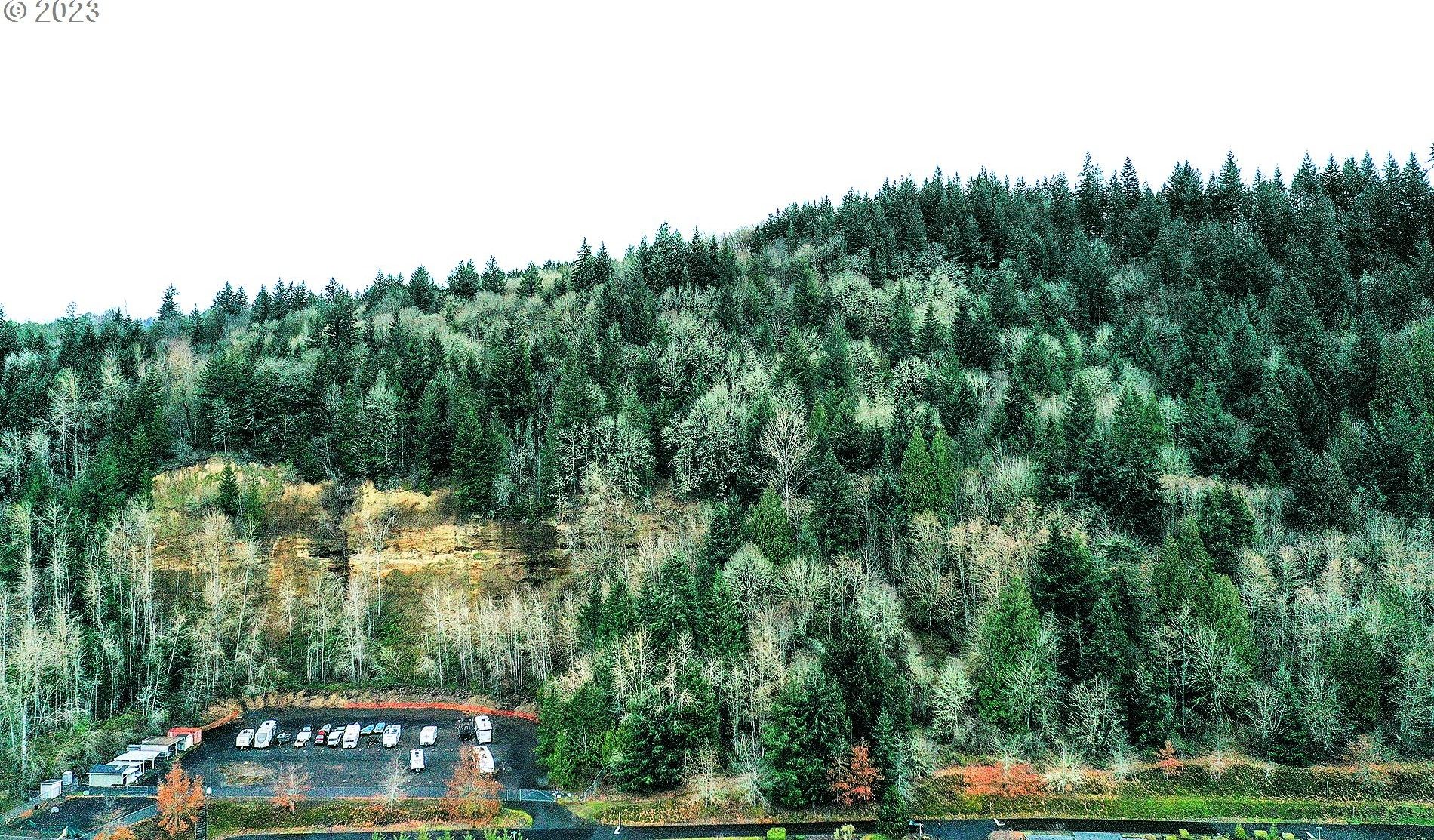 Kalama, Cowlitz County, WA Undeveloped Land for sale Property ID