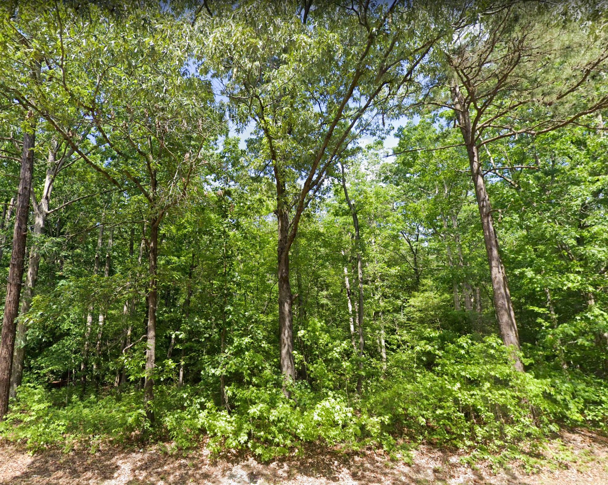 Robbins, Moore County, NC Undeveloped Land, Horse Property, Homesites