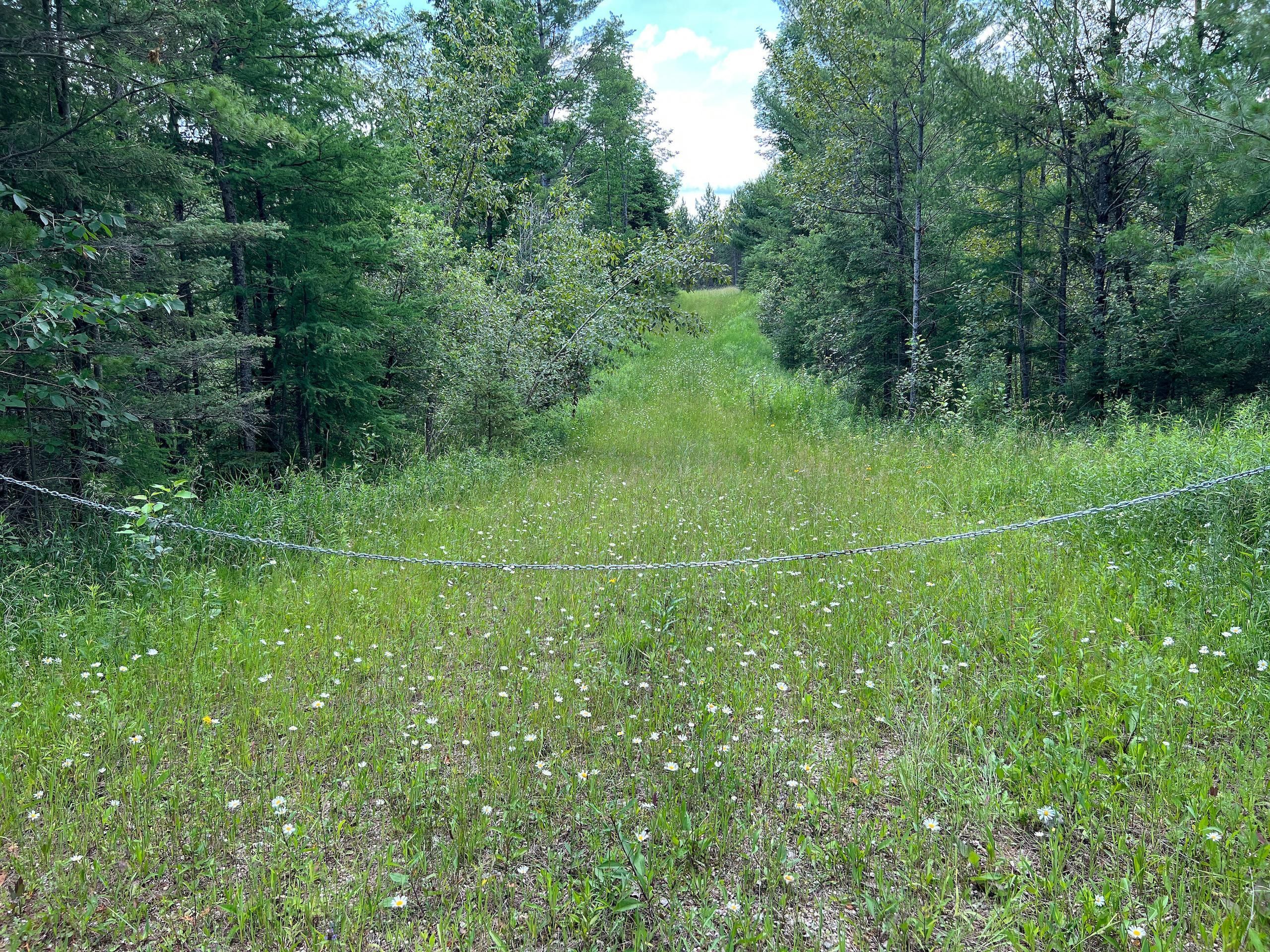 Hermansville, Menominee County, MI Recreational Property, Timberland