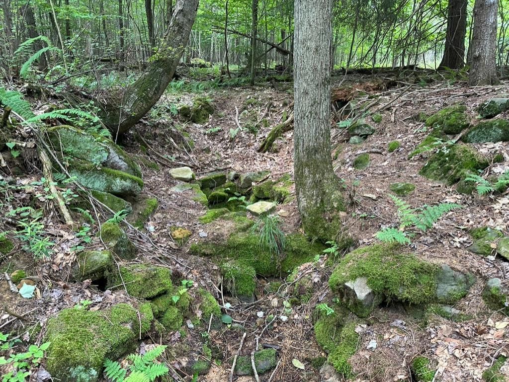 Sigel, Elk County, PA Recreational Property, Timberland Property for sale Property ID 416974354