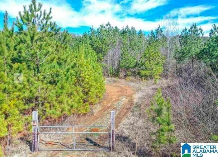 Springville, Saint Clair County, AL Undeveloped Land, Commercial