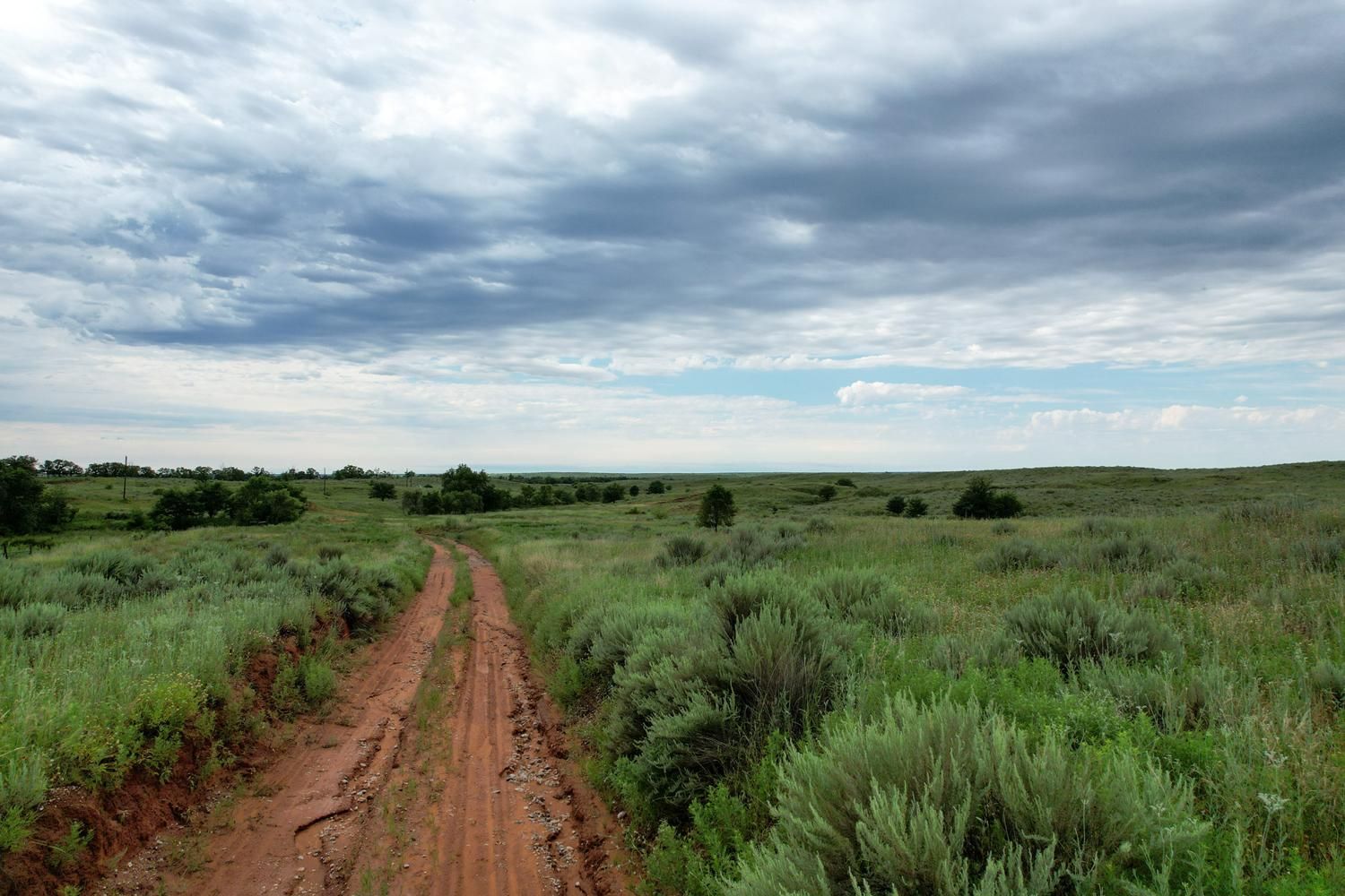 316 acres in Shamrock, TX, 79079 LandWatch