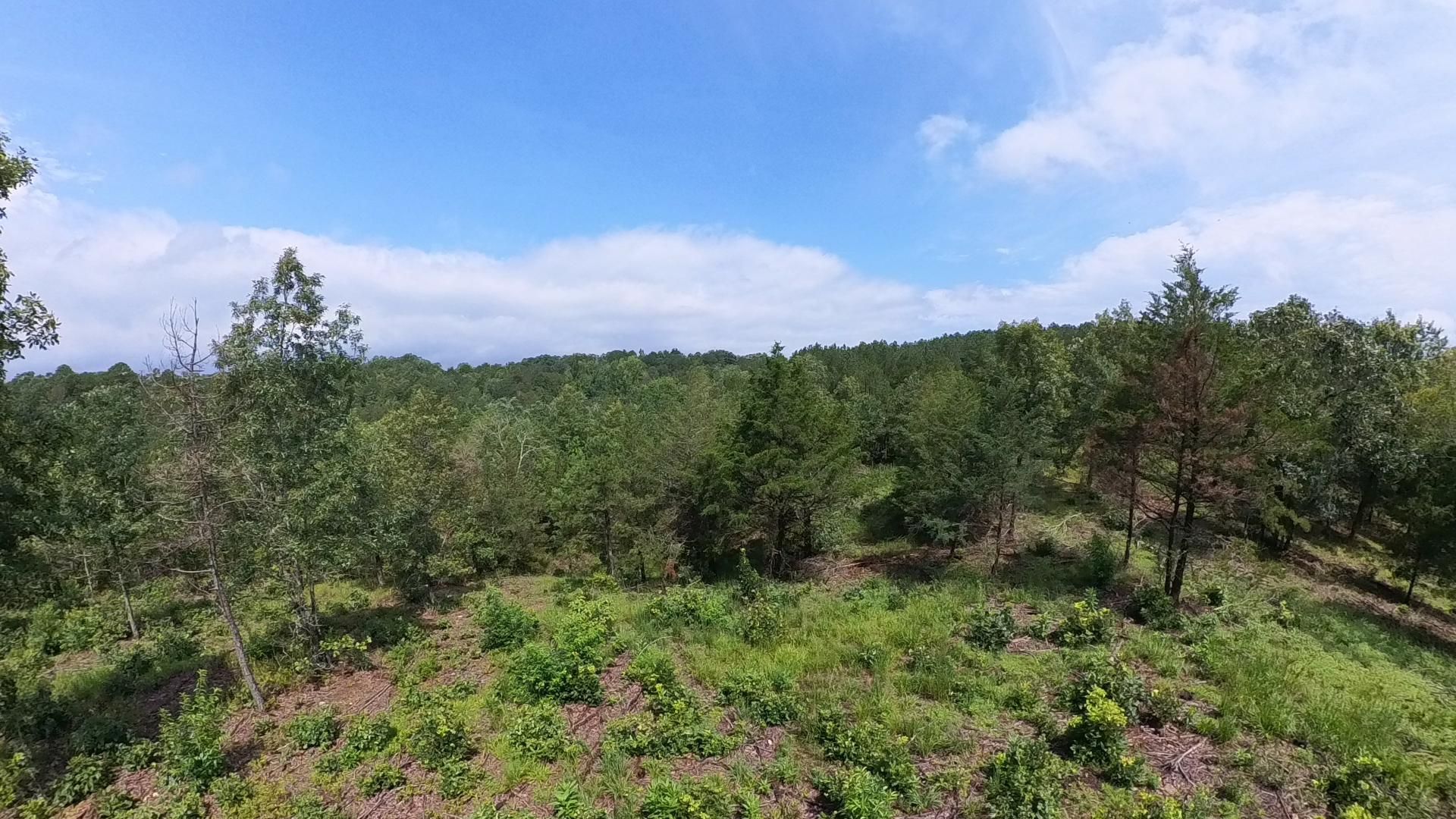 Norman, Montgomery County, AR Recreational Property, Hunting Property