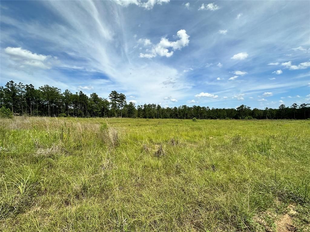 Doucette, Tyler County, TX Recreational Property, Hunting Property for