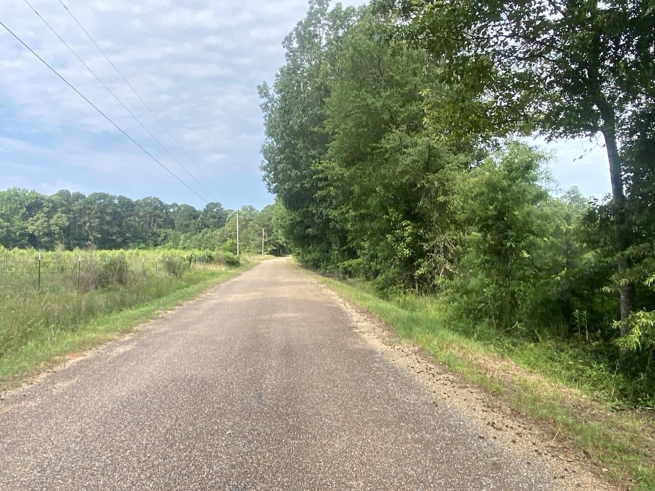 Lewisville, Lafayette County, AR Timberland Property, Undeveloped Land