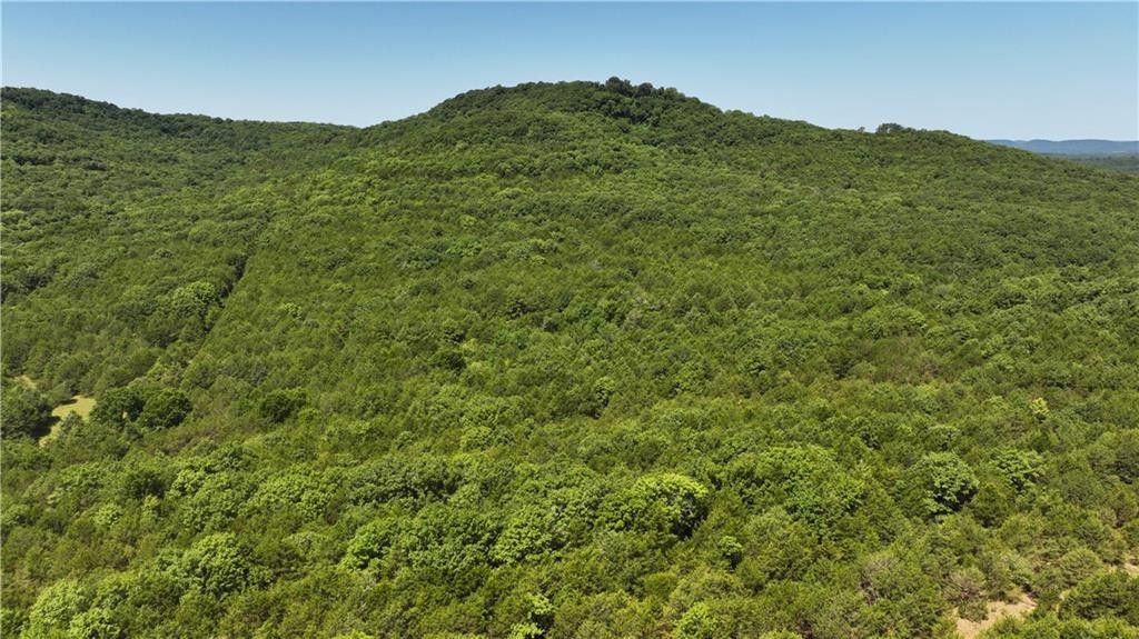 Berryville, Carroll County, AR Undeveloped Land for sale Property ID