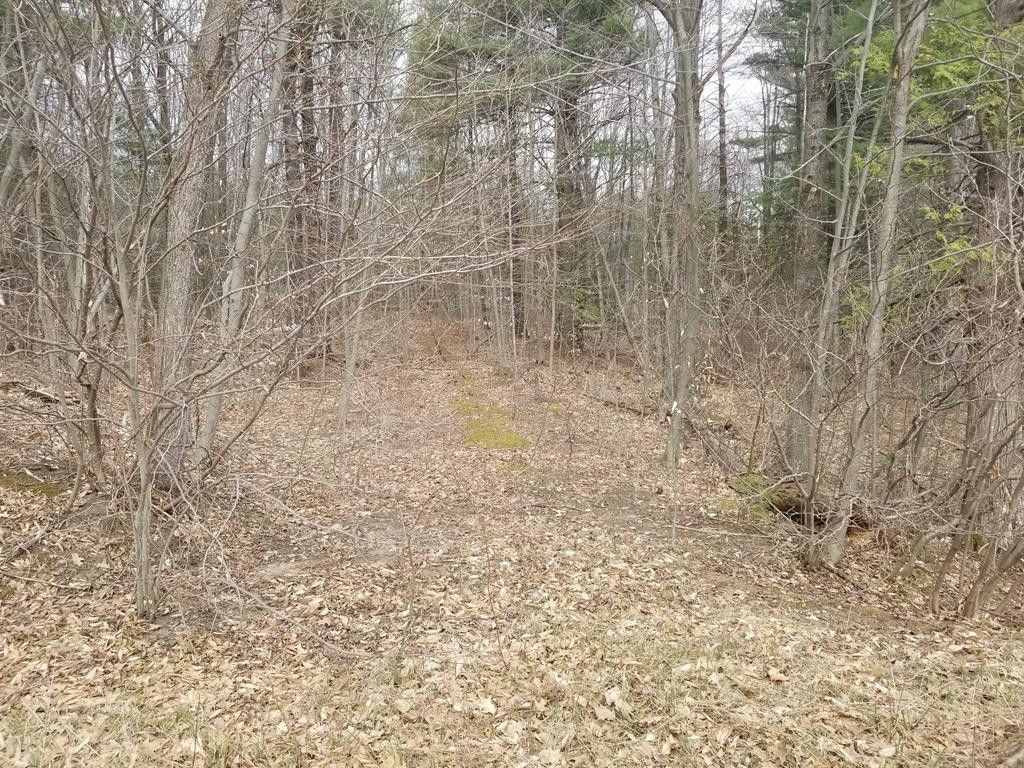 Constable, Franklin County, NY Undeveloped Land for sale Property ID