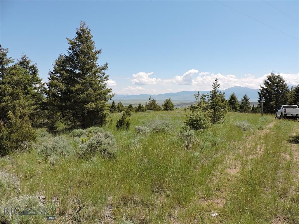 Whitehall, Jefferson County, MT Farms and Ranches for sale Property ID