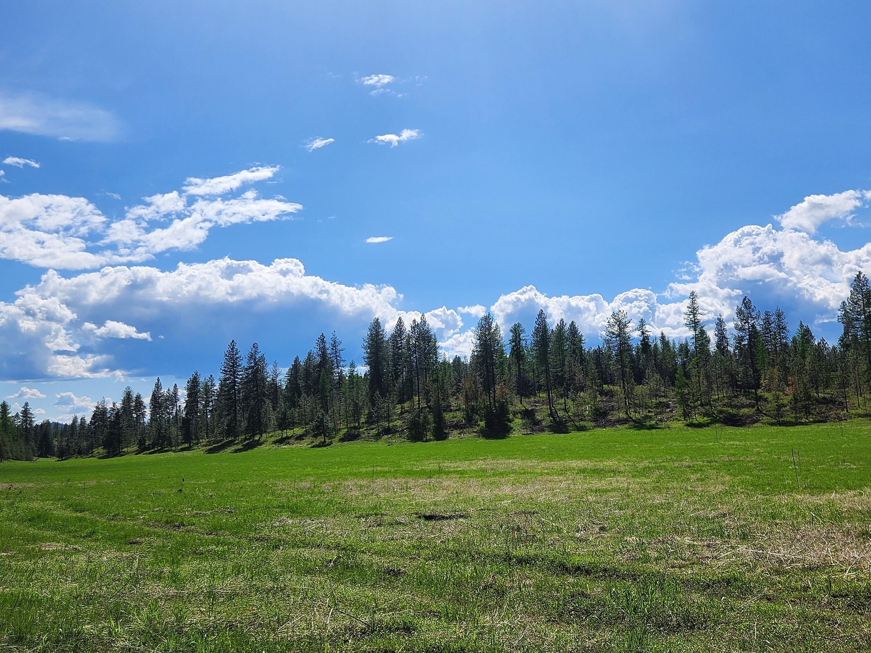 Valley, Stevens County, WA Undeveloped Land for sale Property ID