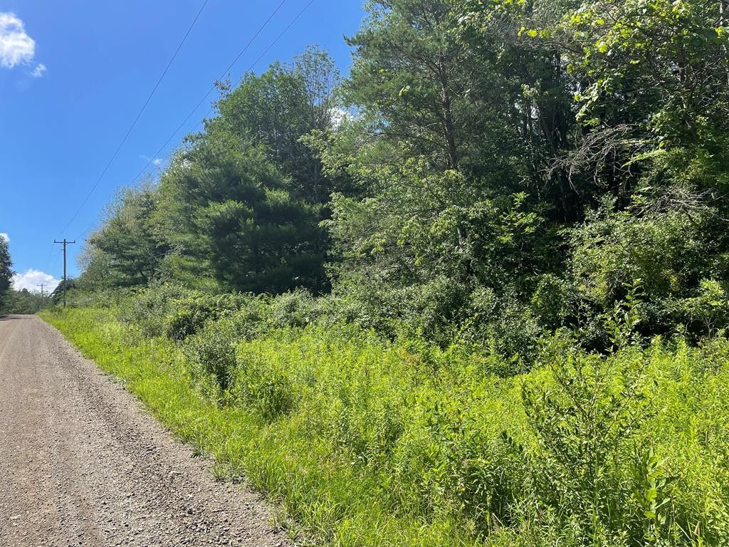 Cameron, Steuben County, NY Undeveloped Land, Homesites for sale