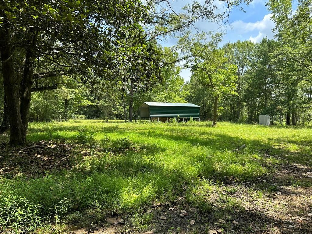 Liberty, Amite County, MS Farms and Ranches for sale Property ID