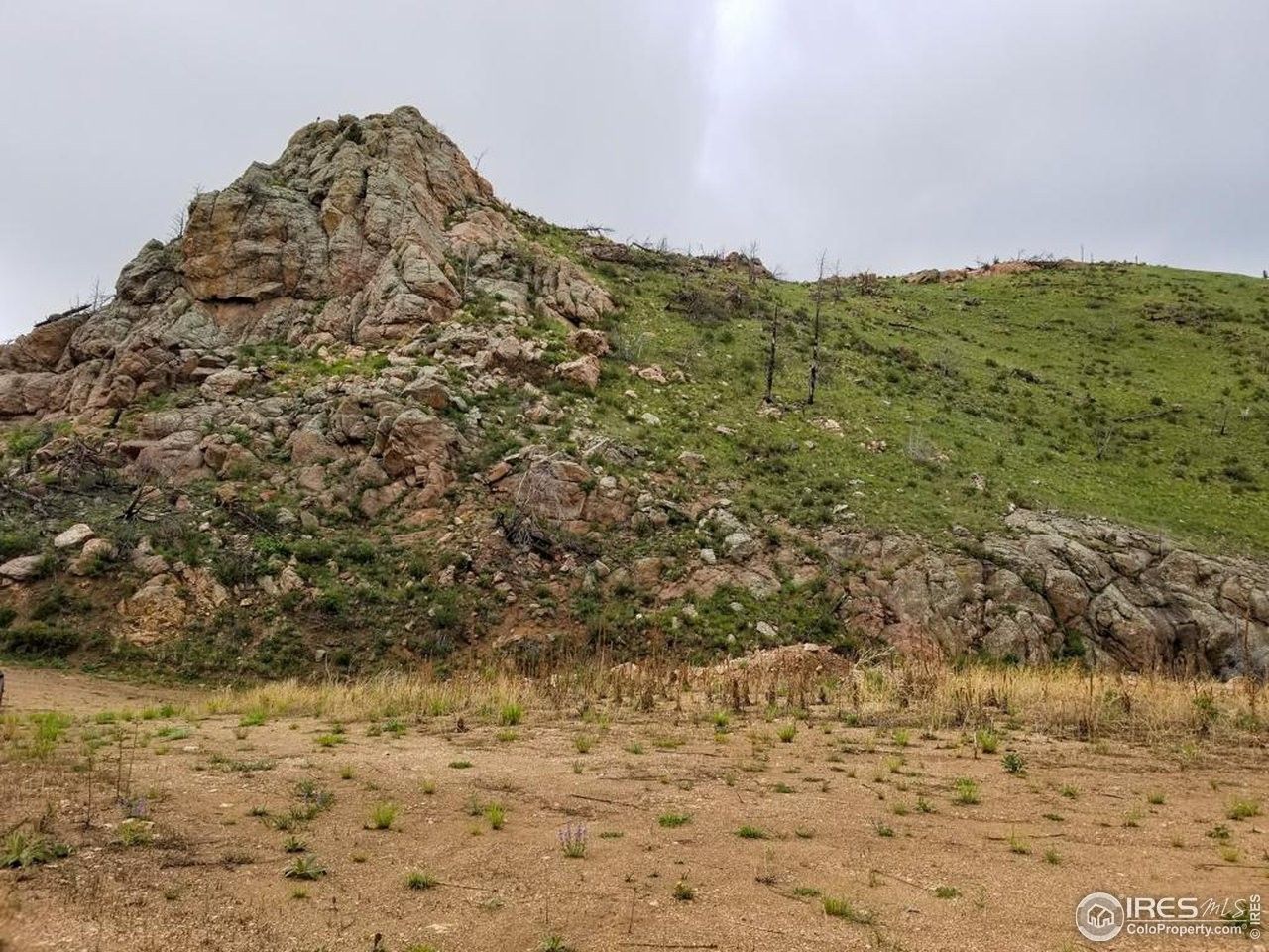 Livermore, Larimer County, CO Undeveloped Land, Homesites for sale