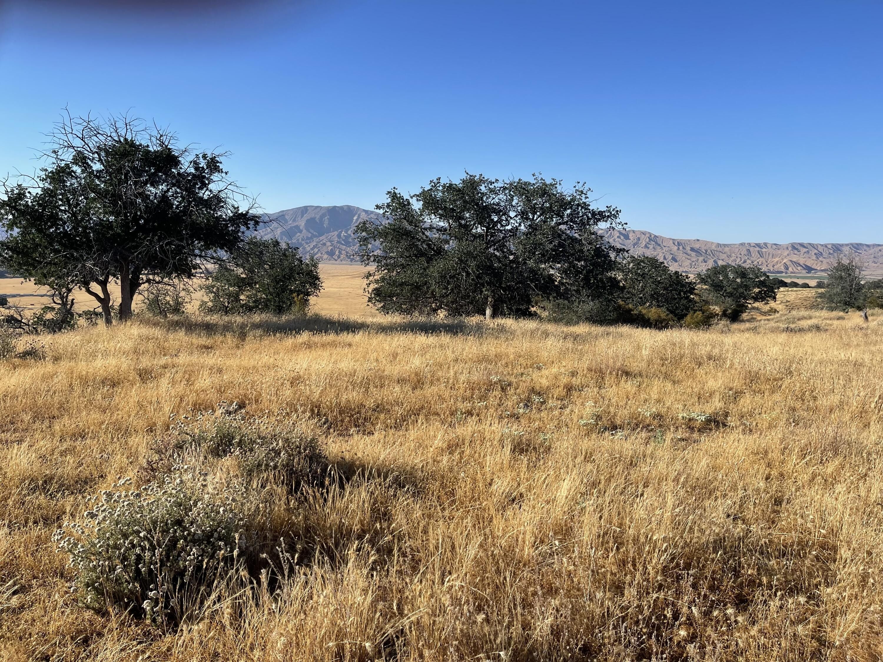 New Cuyama, Santa Barbara County, CA Undeveloped Land for sale Property