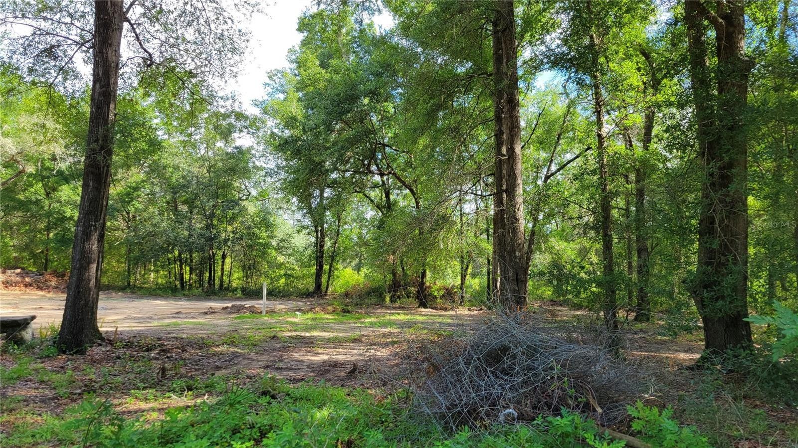 Bronson, Levy County, FL Undeveloped Land, Homesites for sale Property