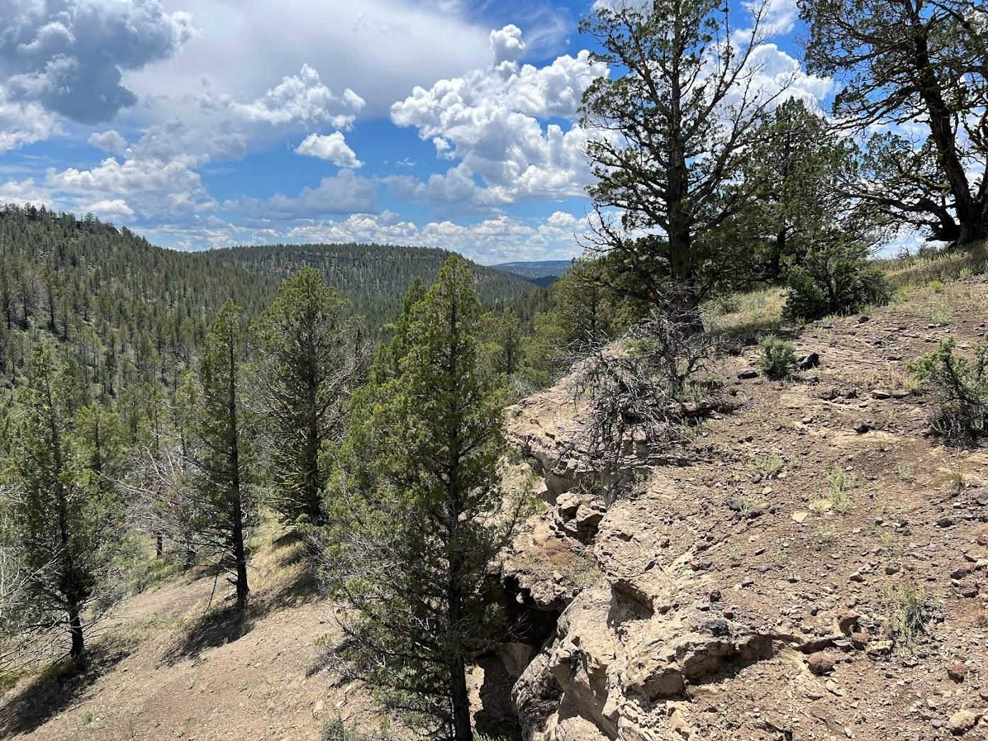 Alturas, Modoc County, CA Recreational Property, Timberland Property