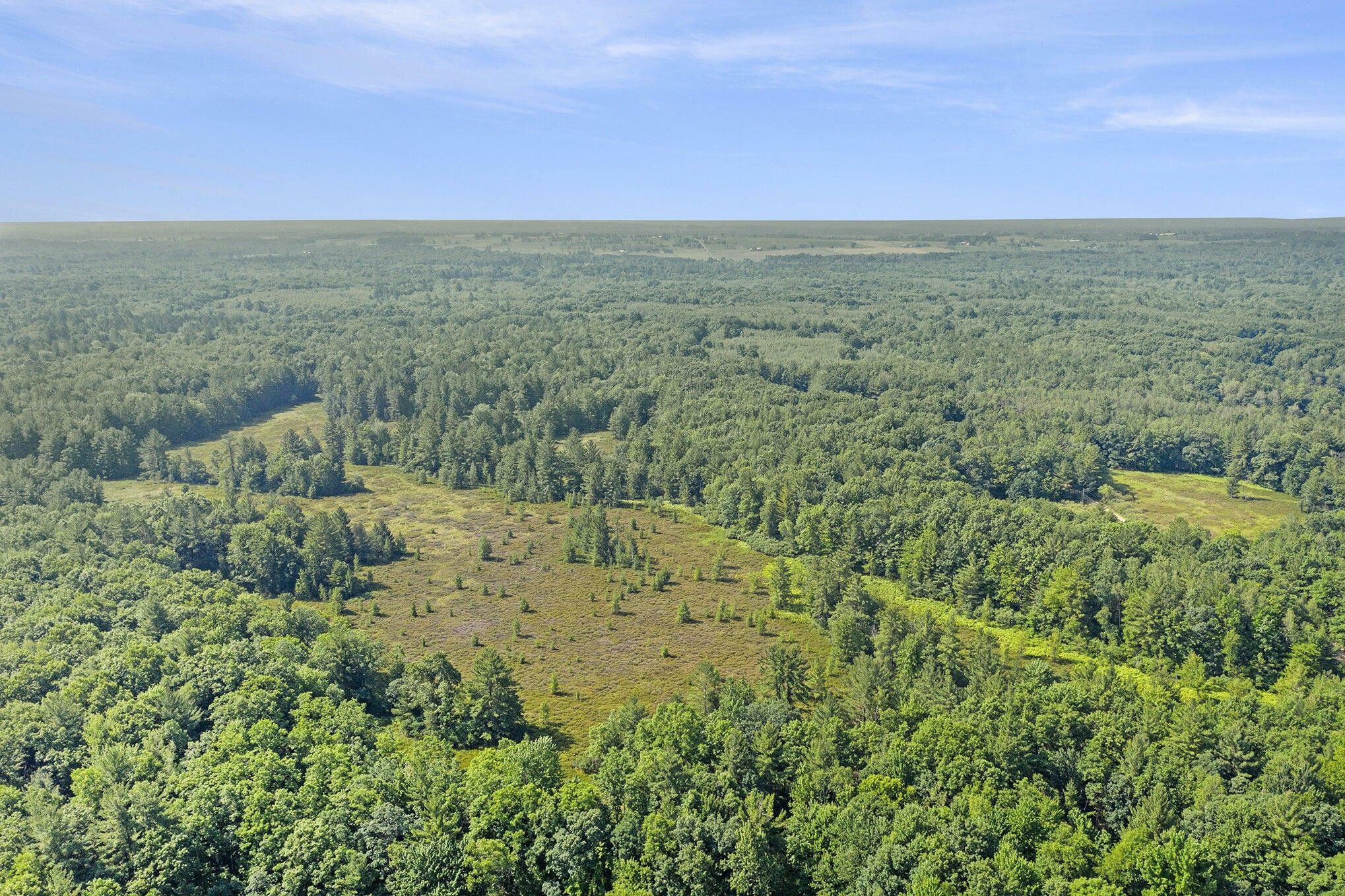 Pentwater, Oceana County, MI Undeveloped Land for sale Property ID